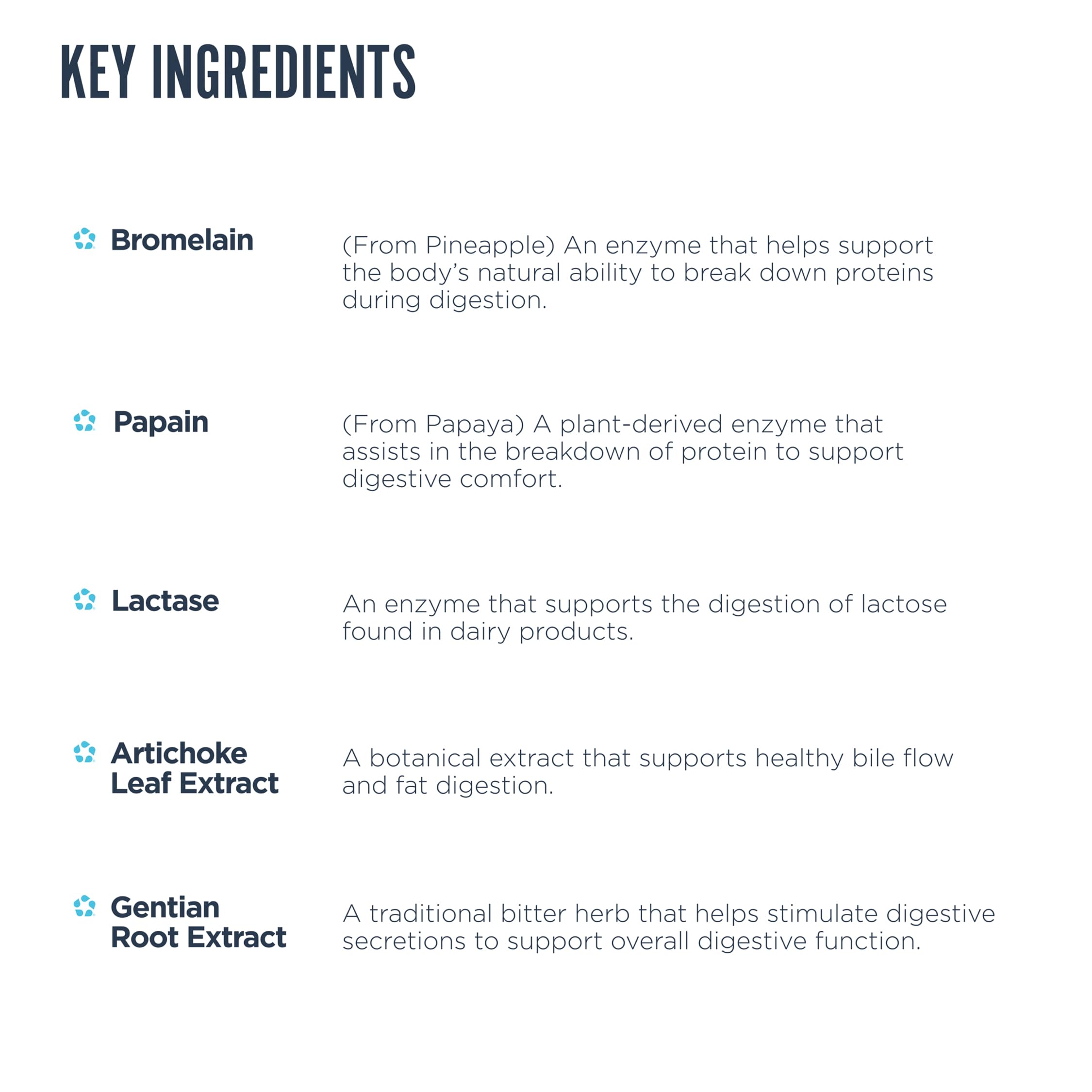 Revive MD Digest Aid, Digestive Support Supplement for Men & Women - Comprehensive Digestive Enzyme Blend with Probiotics & Prebiotics for Gut Health & Healthy Digestion