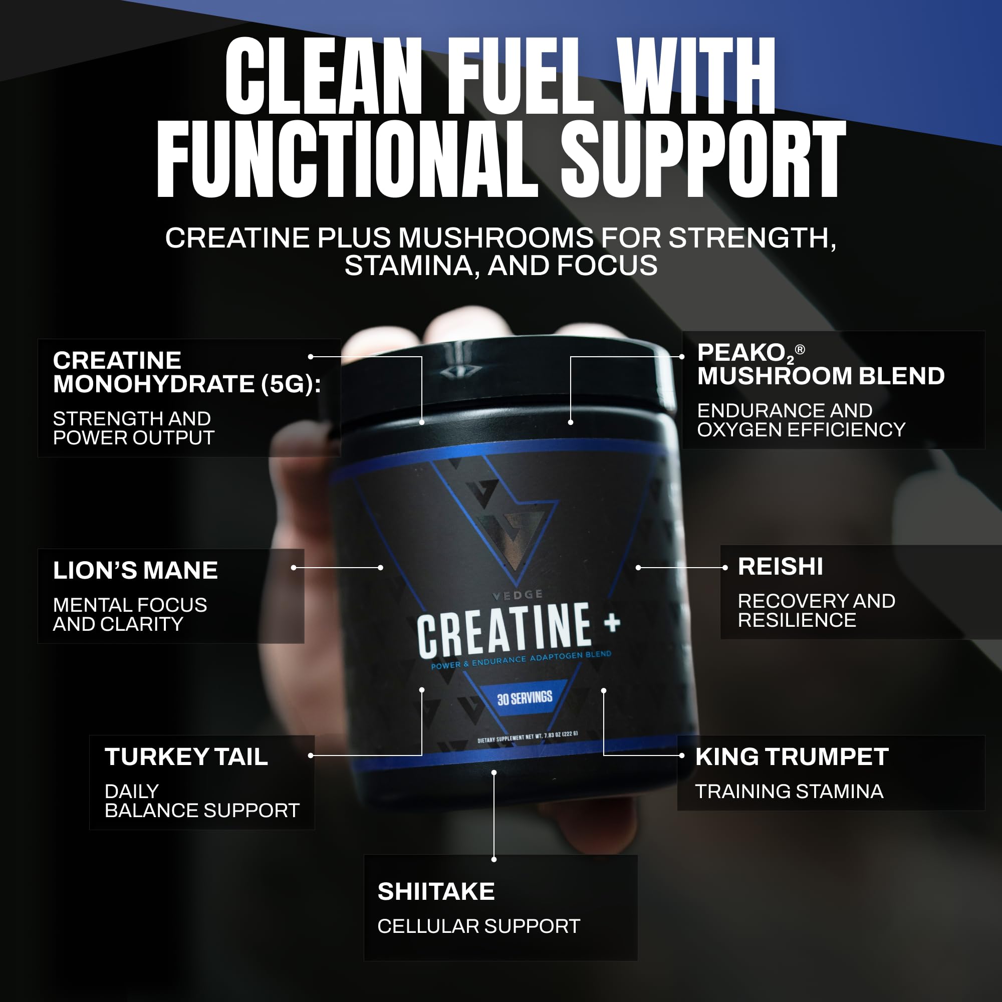 VEDGE Nutrition Creatine + | Vegan Plant-Based Creatine Monohydrate Powder | Energy, Performance & Function | Ergogenic Aids for Athletes | Unflavored, 30 Servings VEDGE Au supplements