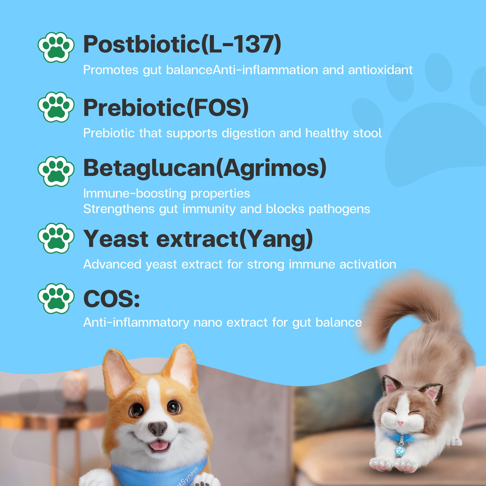VFcare BIO Supplement for Cats & Dogs – Anti Diarrhea for Dogs, Gut Health Paste with Postbiotics, Prebiotics, FOS, L-137, Yeast Extract – Anti Diarrhea for Dogs, 30 Sachets VFCARE Au supplements