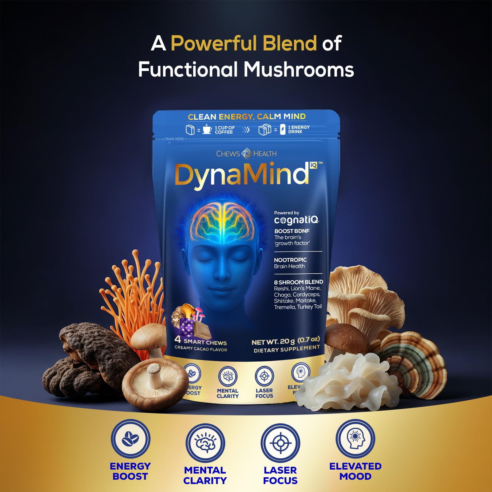 DynaMind iQ Brain Supplement for Memory and Focus for Adults - Nootropic Chews | Coffee Fruit & Mushroom Supplement Blend, Memory Focus Supplement, Caffeine Focus Pills Alternative, 4 Count CHEWSHEALTH Au supplements