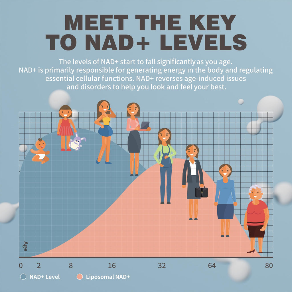 NIUSISE NAD Gummies Sugar Free, NAD+ Supplement with Liposomal Nicotinamide Riboside, Resveratrol, Quercetin, NAD Supplement for Anti-Aging, Energy, Cellular Health, Blueberry Flavor, 60 Gummies NIUSISE Au supplements