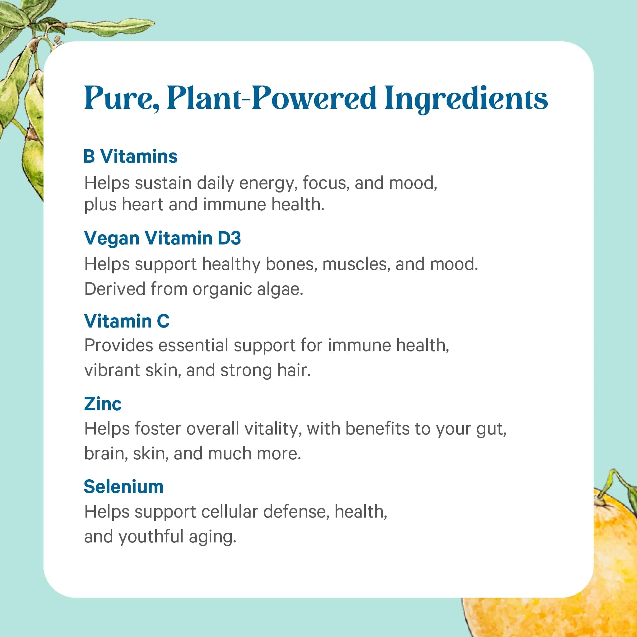 PURE SYNERGY Multi·Vita·Min | Vegan Multivitamin Made with Organic Whole Foods | Twice Daily Supplement for Men and Women PURE SYNERGY Au supplements