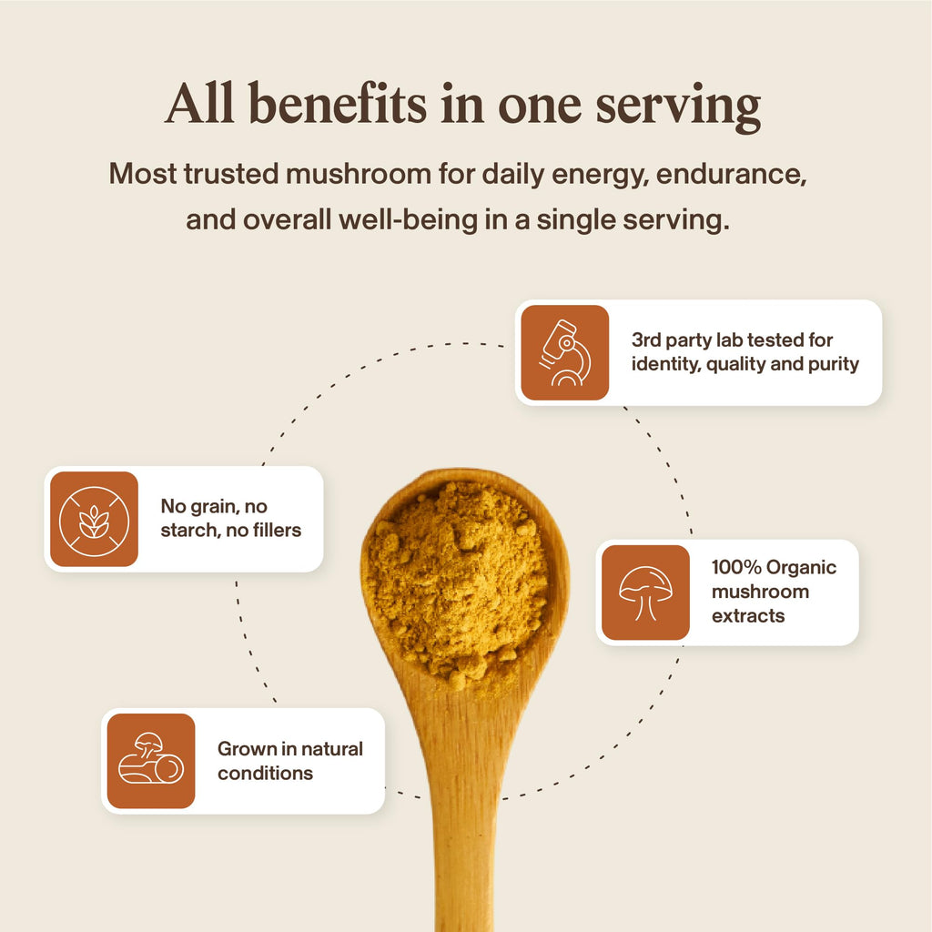 Real Mushrooms Capsules Supplements - Organic Cordyceps Mushroom Powder in Capsules - Energy and Performance Mushrooms with Verified Beta Glucans - Vegan, Non-GMO, 300 Capsules Real Mushrooms Au supplements