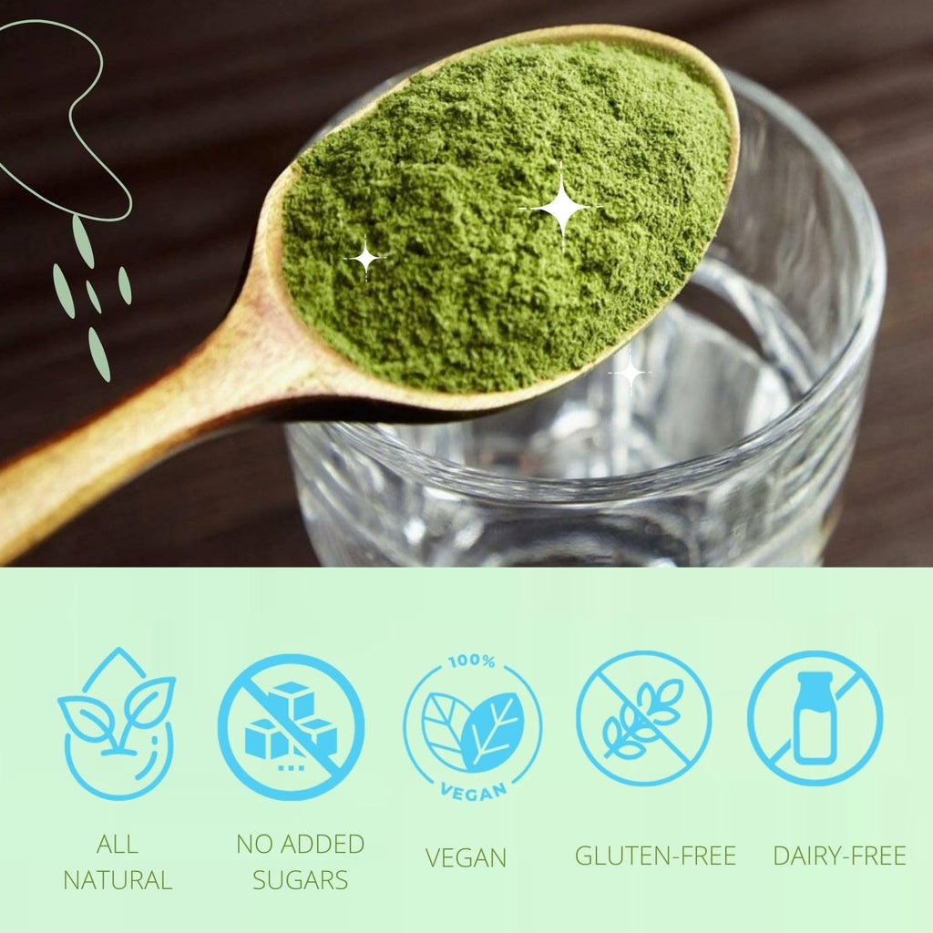Consult Health Gut-Duction Bloat Control – Gut Health Support Superfood Formula – Plant Based Proteins - Probiotics – Powder Drink Mix – 28 Servings – 9.9 oz.