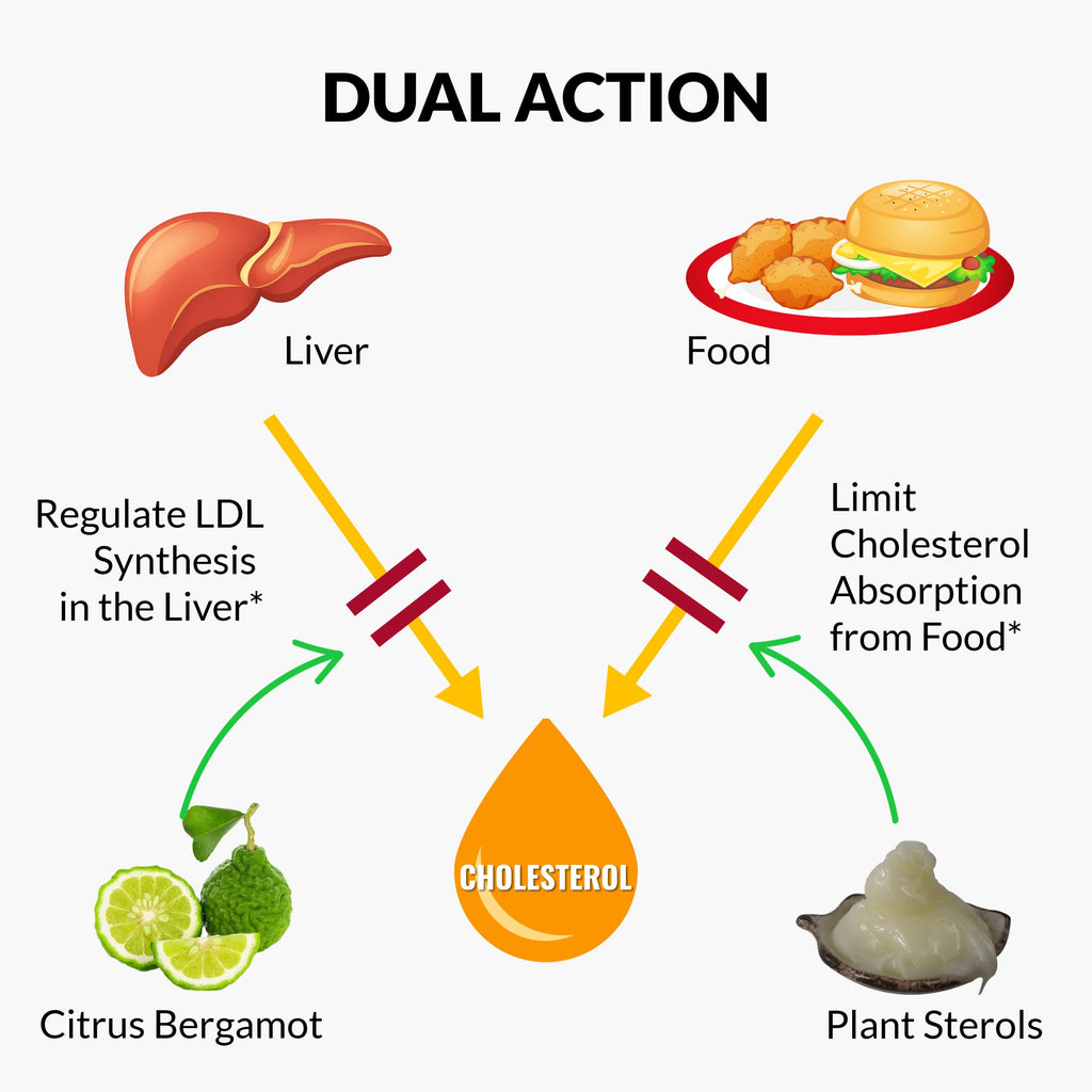 UpNourish Plant Sterols Citrus Bergamot Supplement for High Cholesterol with CoQ10, Omega 3, Olive Leaf, Turmeric Curcumin, Black Garlic and Niacin - 120 Softgels UpNourish Au supplements