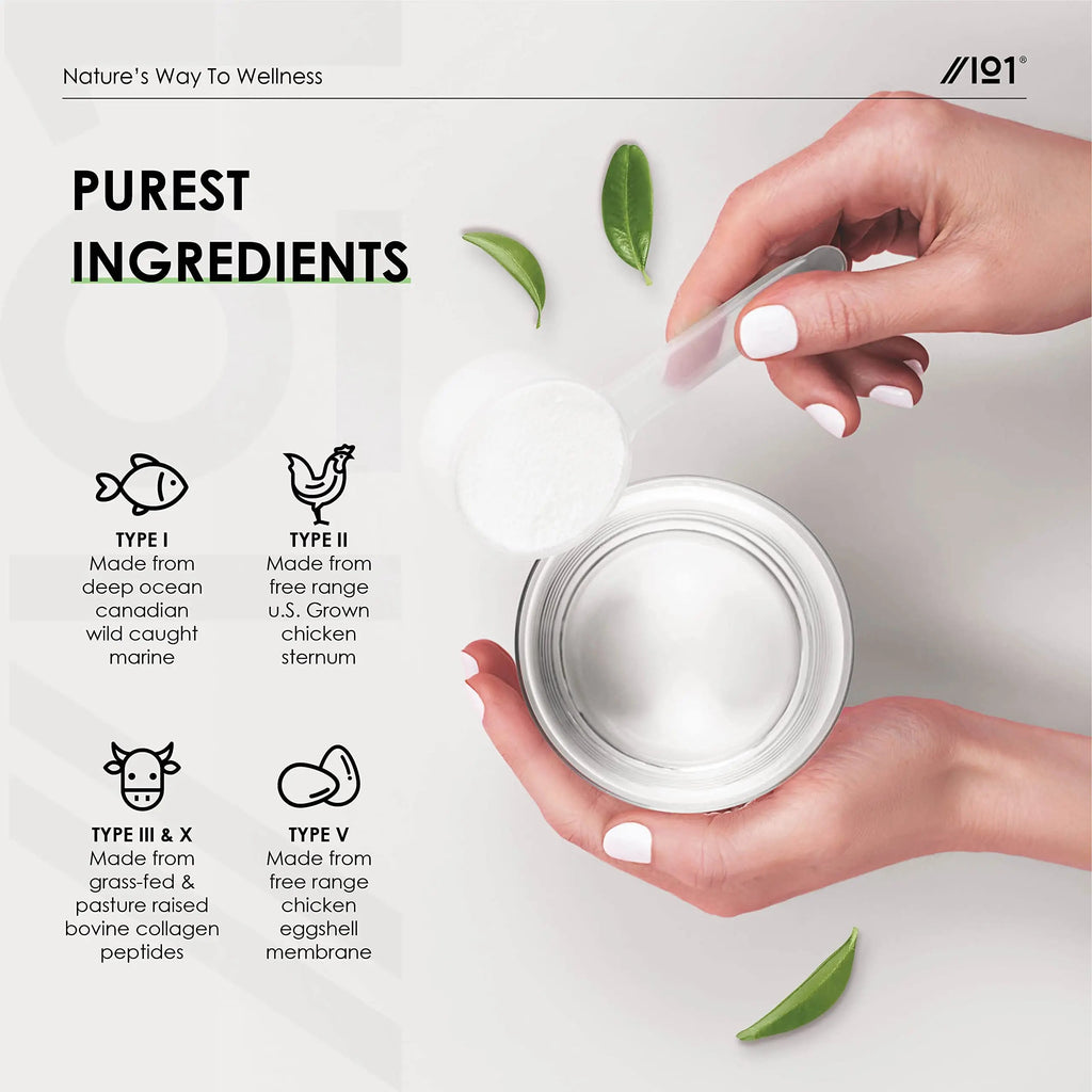 Multi Collagen Protein Powder (400g) - Types I, II, III, V & X - Hydrolyzed Grass Fed Bovine, Wild Caught Fish ALPHA01 Au supplements