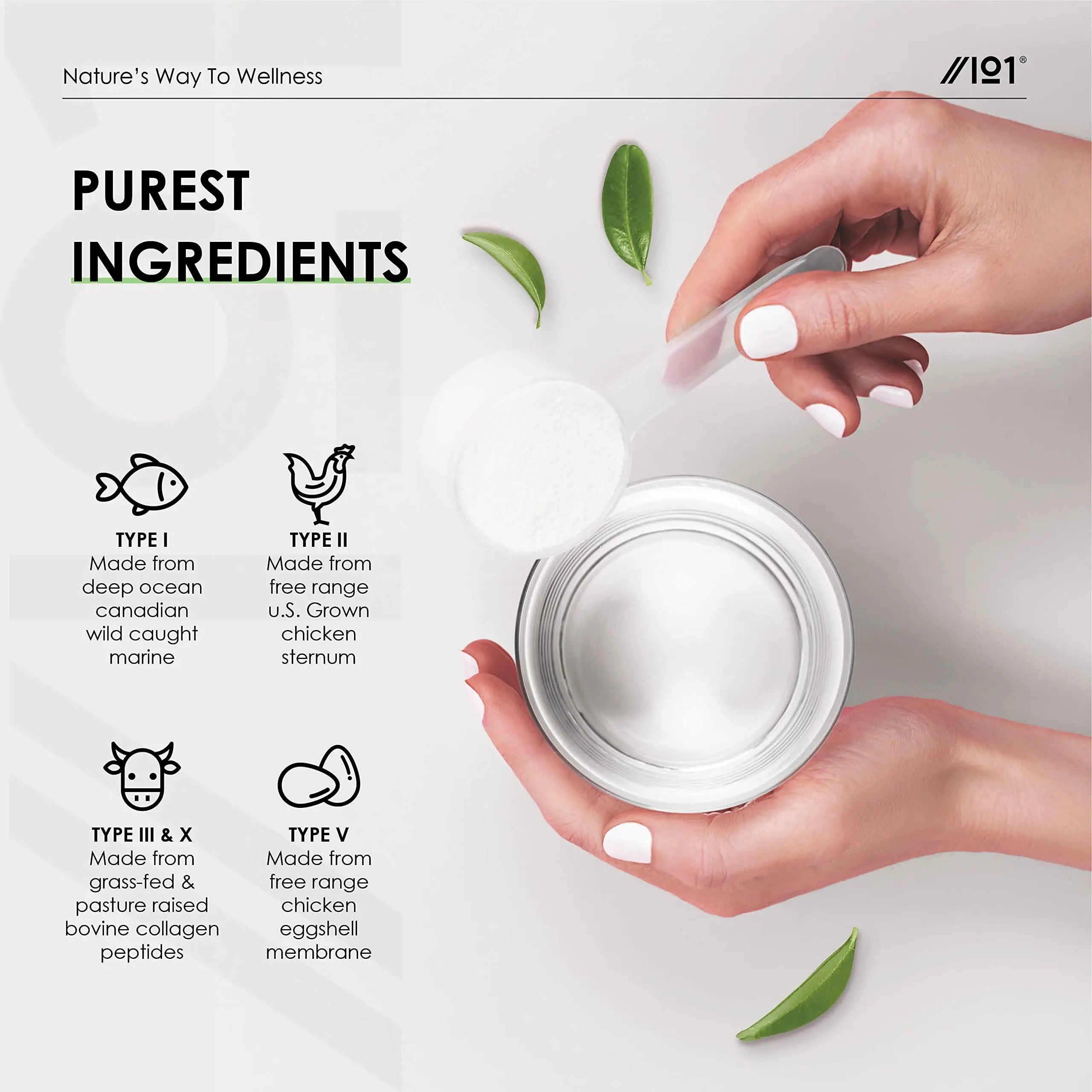 Multi Collagen Protein Powder (400g) - Types I, II, III, V & X - Hydrolyzed Grass Fed Bovine, Wild Caught Fish ALPHA01 Au supplements