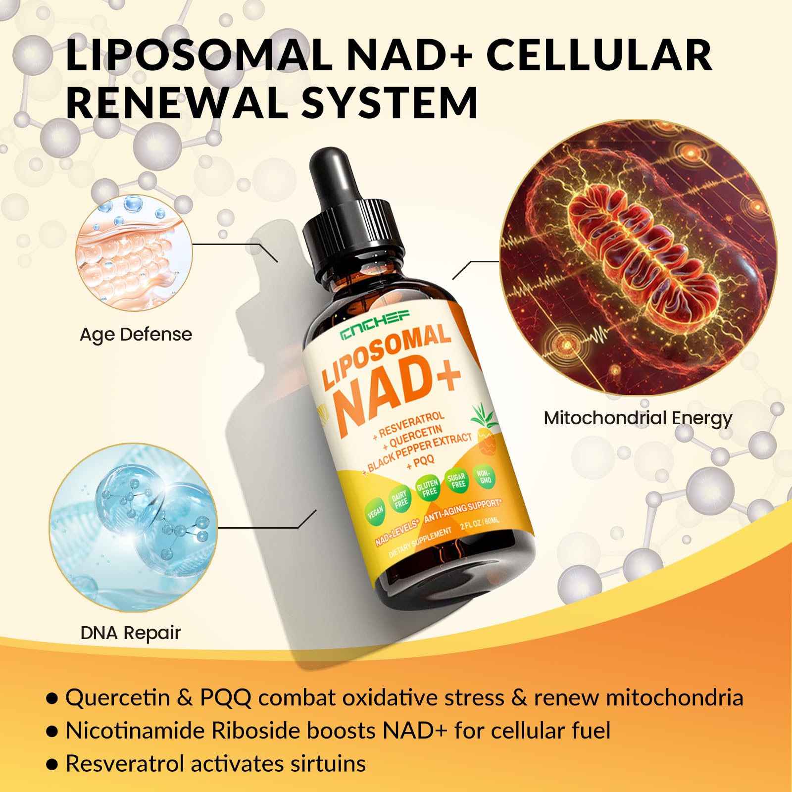CNCHEF Liposomal NAD Supplement - 1500mg NAD+ Liquid Drop for Women & Men Nicotinamide Riboside Chloride & Resveratrol Complex - Cellular Renewal, Anti-Aging Support - 30 Servings (2 fl oz) CNCHEF Au supplements