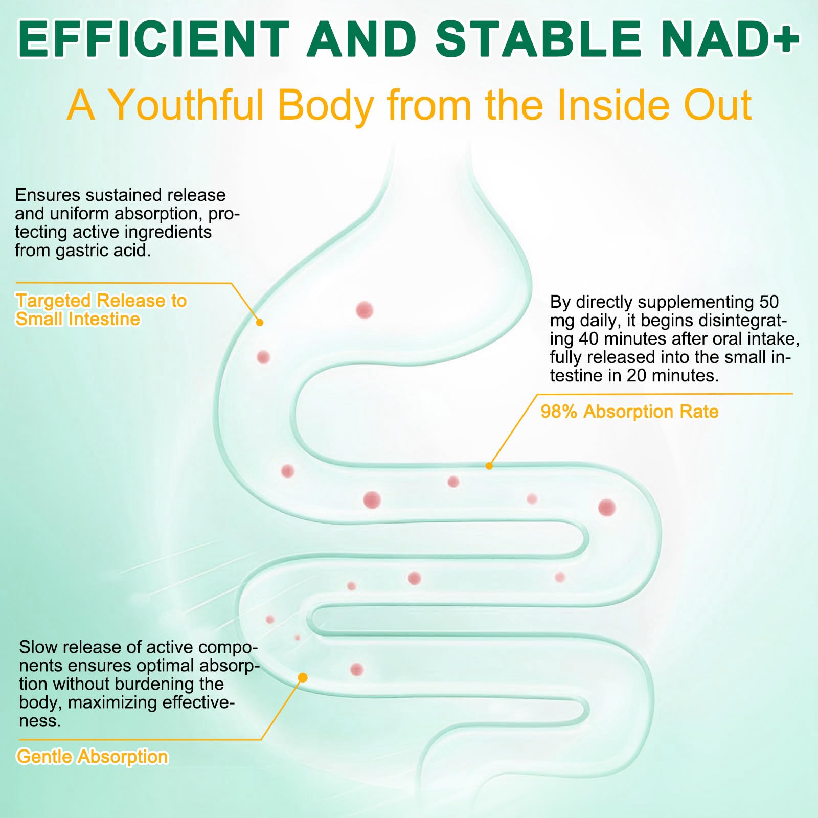NAD Supplement 120 Capsules, Liposomal Nicotinamide Riboside, Resveratrol, Quercetin, NAD Nicotinamide Riboside Resveratrol 910mg for Women & Men, NAD Supplement for Anti Aging and Cell Regeneration KZUO Au supplements