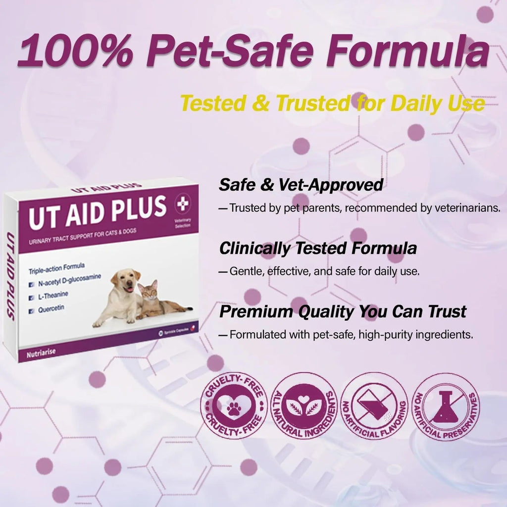 NUTRIARISE Natural UTI Treatment for Cats & Dogs – Antibiotic-Free Urinary Tract Infection Support Supplement – Bladder & Kidney Health – Incontinence Prevention – 30 Capsules NUTRIARISE Au supplements