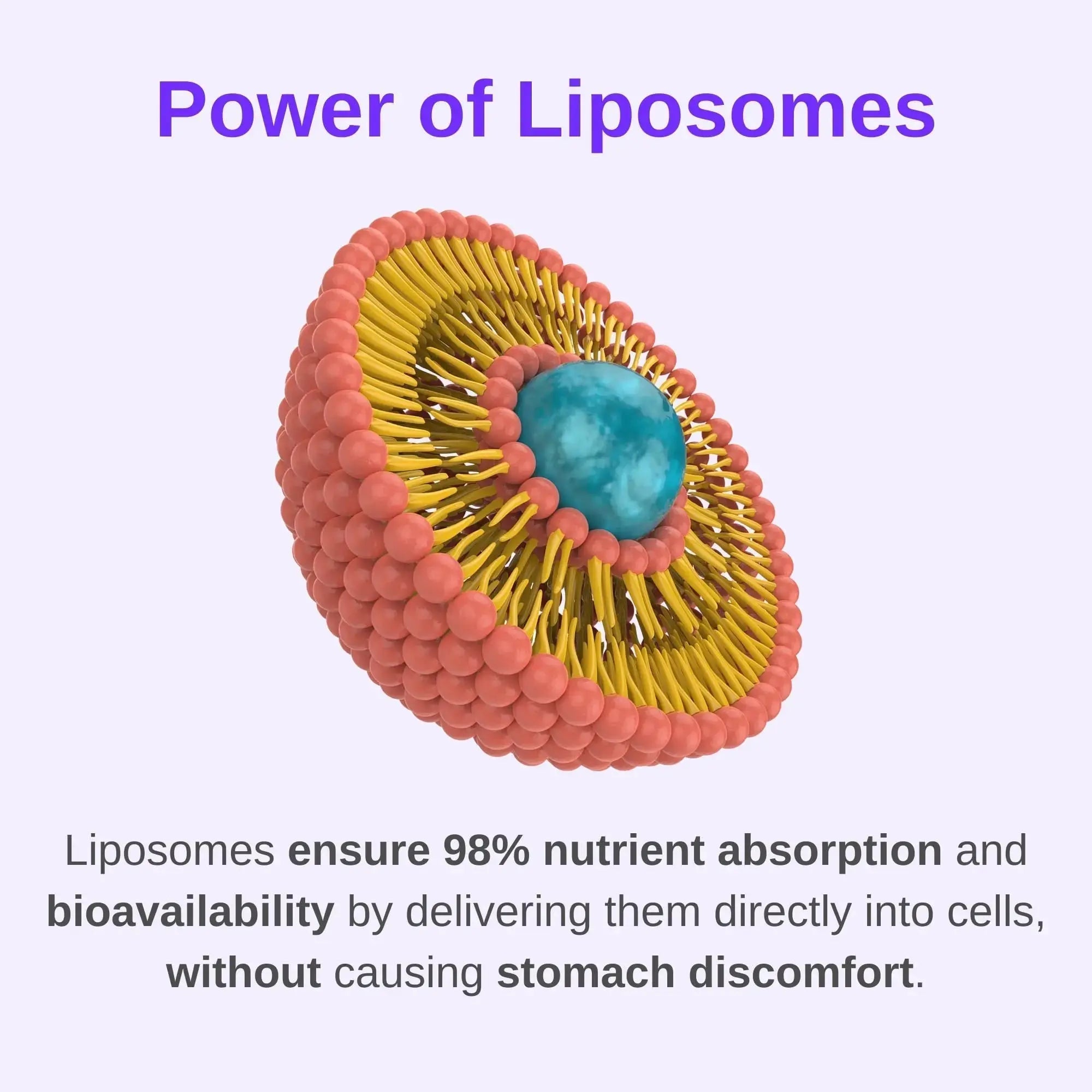Vitaminally Women's Multivitamin liposomal Liquid Drops with Iron | 30 Day Supply | 3 FL Oz | Non-GMO | Gluten Free | Supports Overall Health, Energy and Beauty Vitaminally Au supplements
