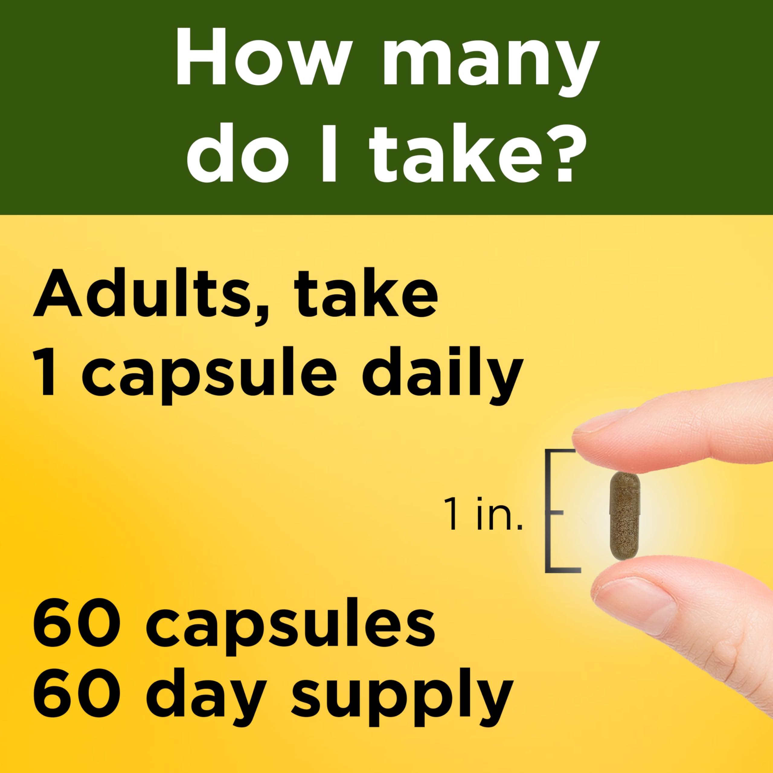 Nature Made Ashwagandha Capsules 125mg for Stress Support, Ashwagandha Supplements, 60 Capsules, 60 Day Supply Nature Made Au supplements