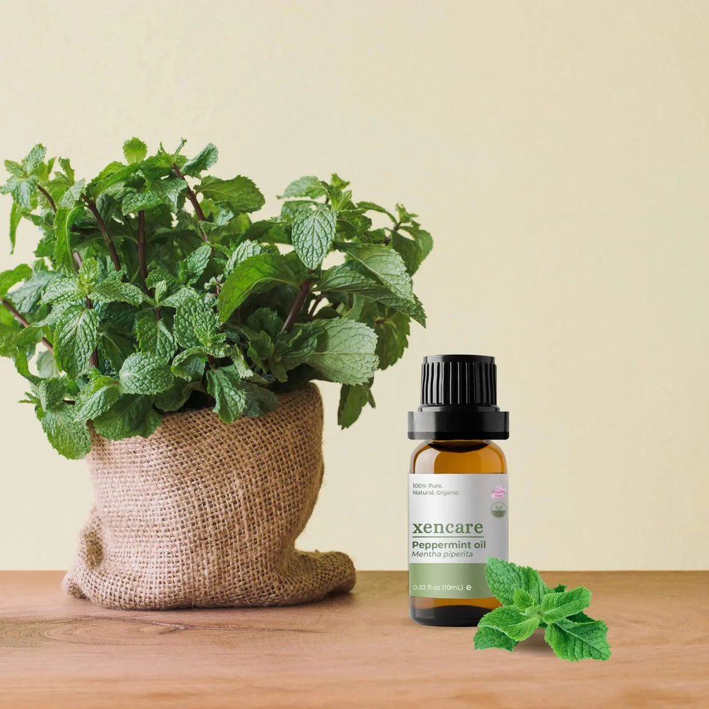 xencare Peppermint USDA Organic Food Grade Essential Oil | 100% Pure Natural Undiluted XenCare Au supplements
