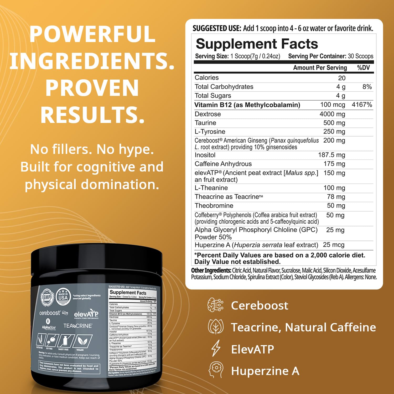 Granite Nutrition GigaBrain Nootropic Energy Powder – Cereboost, Alpha-GPC & ElevATP – Cognitive Focus Supplement for Sustained Energy & Performance – White Peach, 30 Servings Granite Supplements Au supplements
