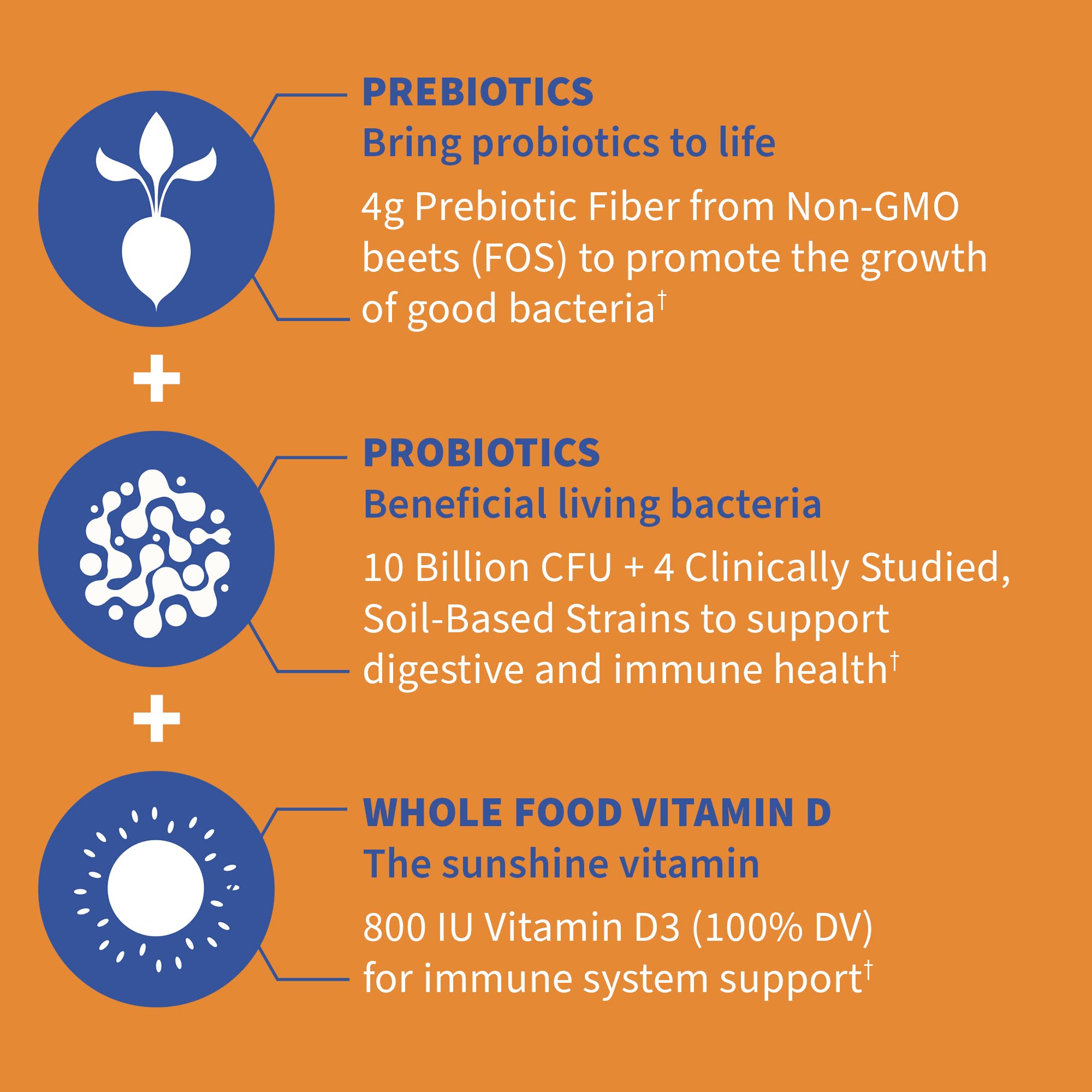 Garden of Life Dr Formulated 10 Billion CFU Prebiotic Fiber & Probiotic Gummies with Vitamin D3 for Digestive and Immune Health – Gluten Free, Non GMO