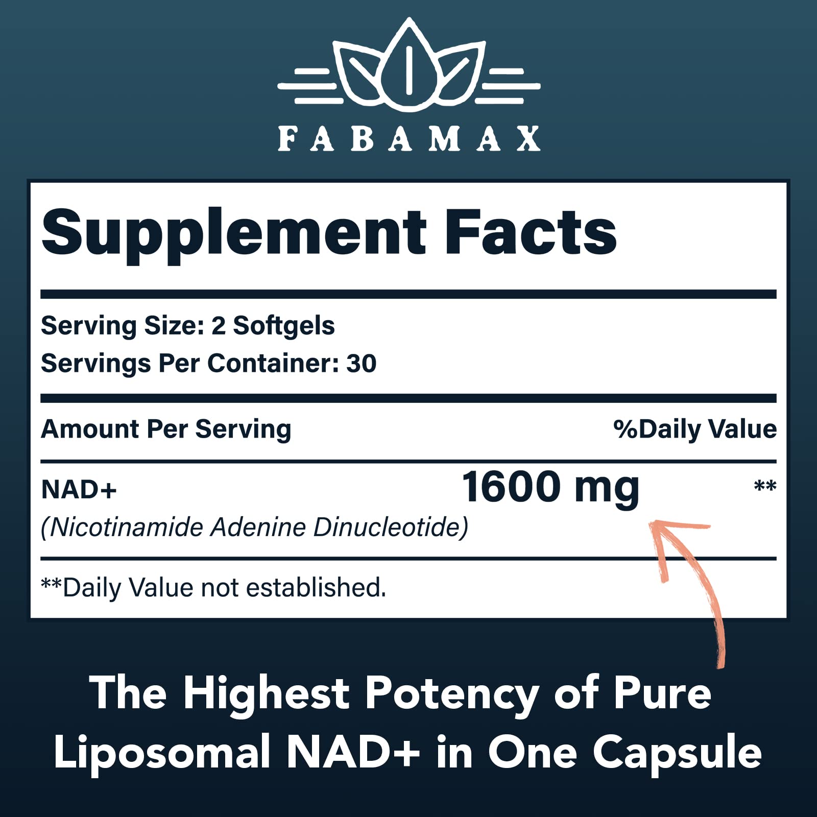 Fabamax 1600 mg Liposomal NAD Supplement, 98% Pure NAD+ Supplement, Superior Absorption, Alternative to Nicotinamide Riboside or NADH to Boost NAD+ for Aging Defense, Energy, Longevity,60 Softgels Fabamax Au supplements