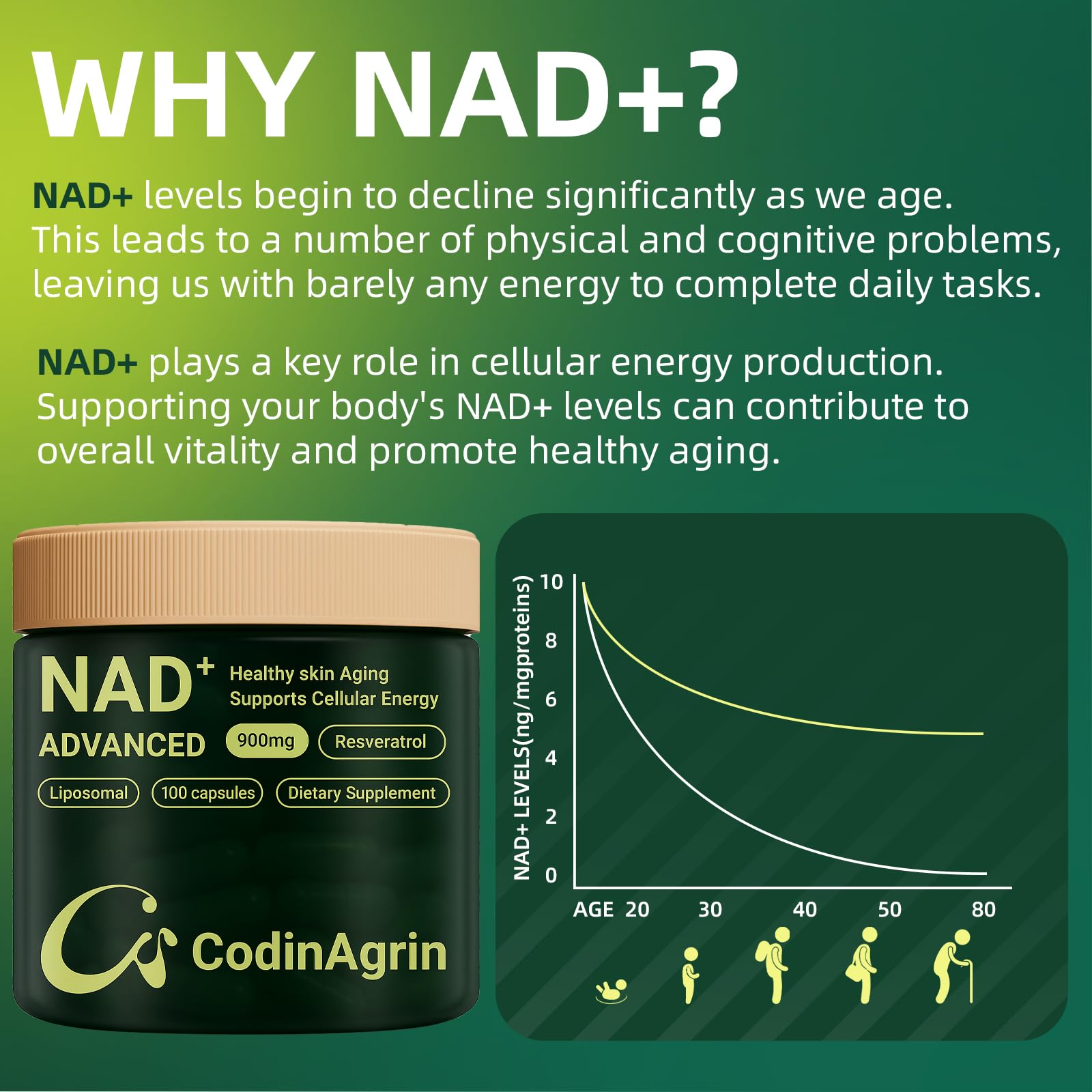 CodinAgrin NAD+ Supplement with Resveratrol 900mg Nicotinamide Adenine Dinucleotide Complex for Cellular Energy Repair, Anti-Aging & Mental Clarity Support, Non-GMO, Vegetarian Friendly, 100 Capsules CodinAgrin Au supplements