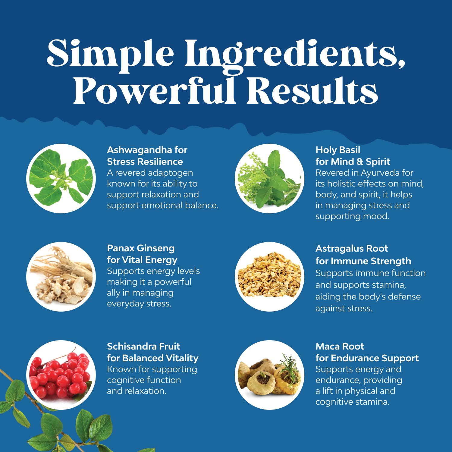Herbal Adaptogen Mood Support Supplement - Calming Adaptogens Supplement for Stress & Cortisol Management with Ashwagandha Rhodiola Rosea & Maca Root - Vegan & Daytime Friendly - 60 Count Natures Craft Au supplements