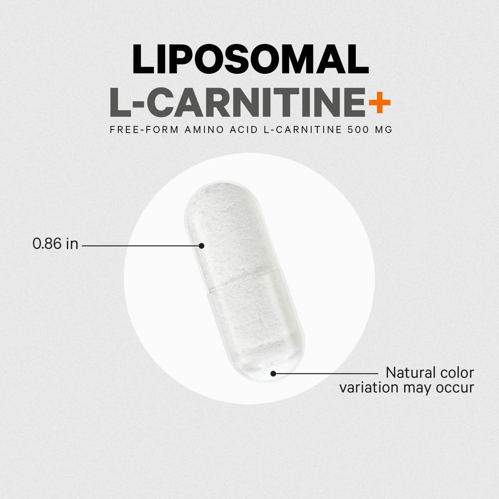 Codeage Liposomal L-Carnitine+ Supplement - 500 mg L-Carnitine L-Tartrate per Serving - Free-Form Amino Acid - Carnitine - Liposomal Delivery - Vegan, Non-GMO, Gluten-Free - 90 Capsules Codeage Au supplements