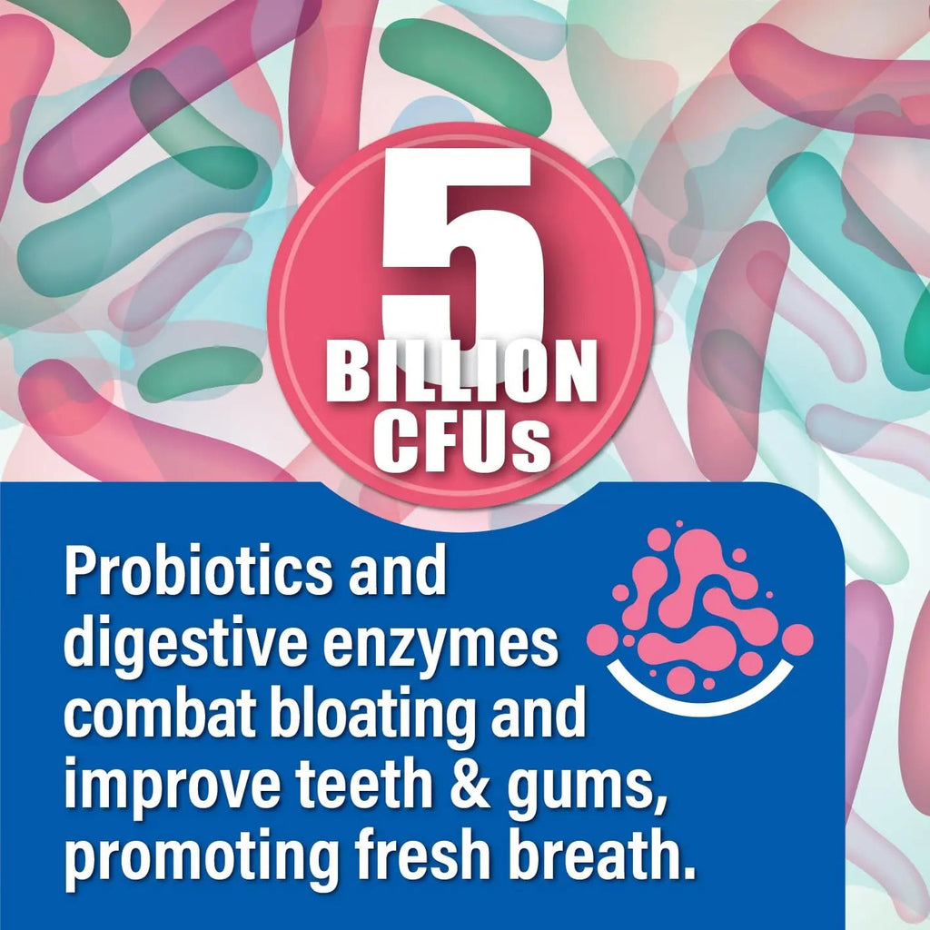 Probiotiv Chewable Probiotics for Daily Bloating w/ 5 Billion CFU – “Two-in-One Combo” Probiotiv Au supplements