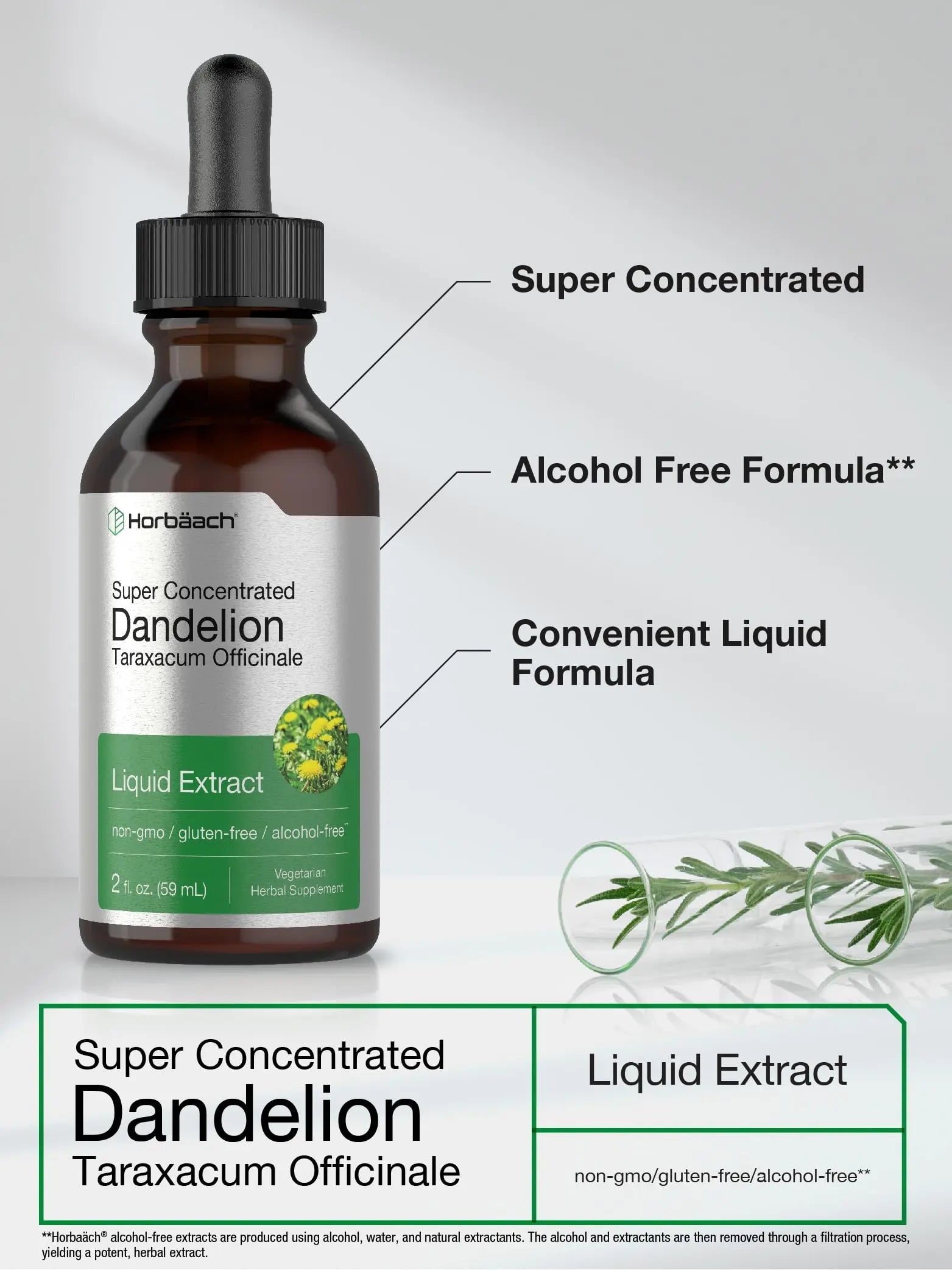 Dandelion Root Extract | 2 fl oz | Super Concentrated | Alcohol Free Liquid Tincture Horbäach Au supplements