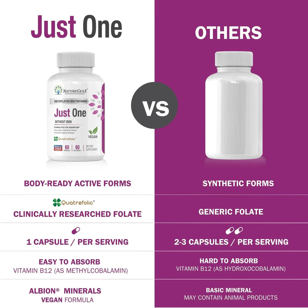 NatureGenX Just One Daily Methylated Multivitamin - 60 Caps Pure Methyl B12, Methylfolate MTHFR Support Supplement Iron Free Methylated Vitamins NatureGenX Au supplements