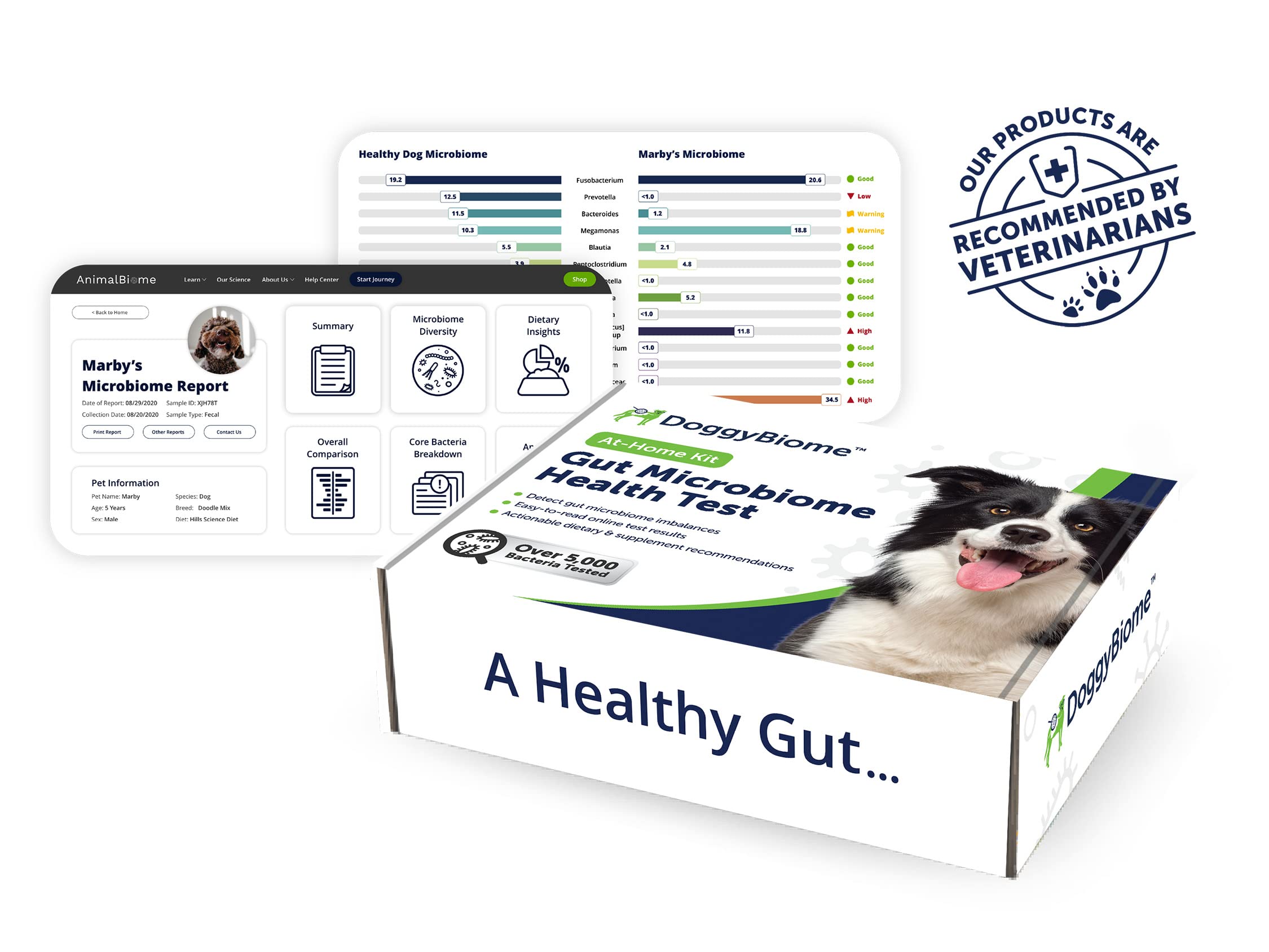 AnimalBiome Dog Gut Health Test – DoggyBiome At Home Stool Testing Kit, Canine Fecal Analysis for Digestive Issues, Diarrhea & Allergy Insights w/Personalized Report & Custom Plan (Dogs in US) AnimalBiome Au supplements