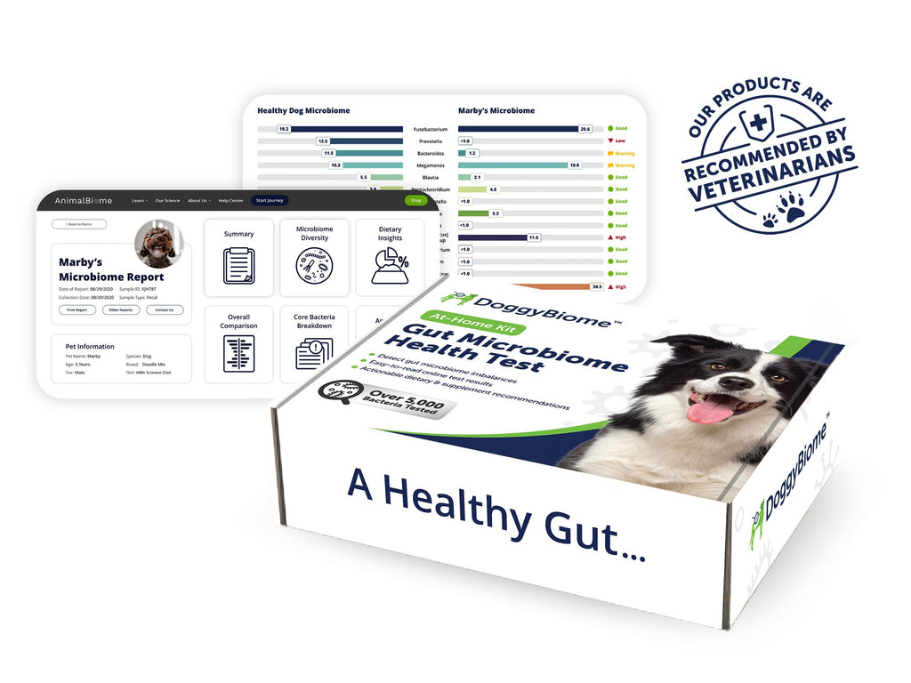 AnimalBiome Dog Gut Health Test – DoggyBiome At Home Stool Testing Kit, Canine Fecal Analysis for Digestive Issues, Diarrhea & Allergy Insights w/Personalized Report & Custom Plan (Dogs Outside US) AnimalBiome Au supplements