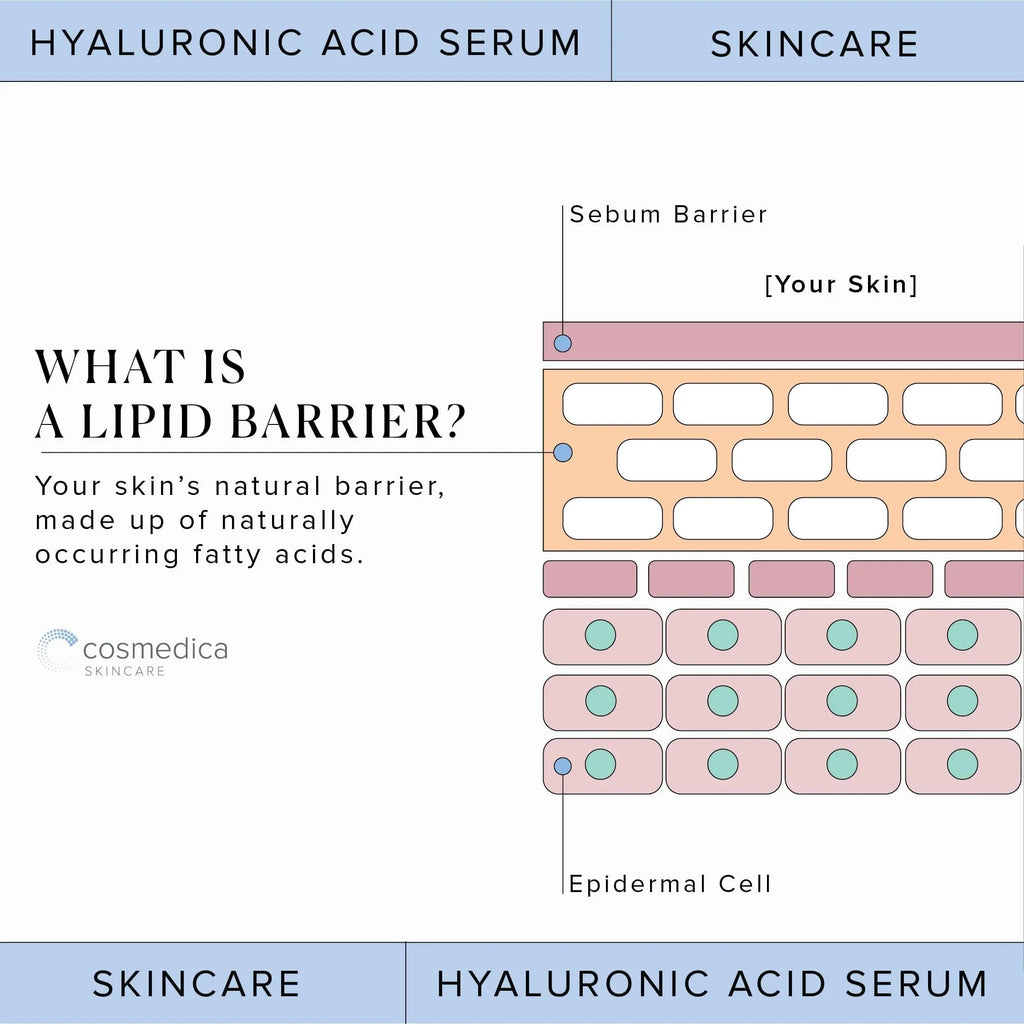 Hyaluronic Acid Serum for Skin 100% Pure Anti Aging Serum Intense Hydration Cosmedica Skincare Au supplements