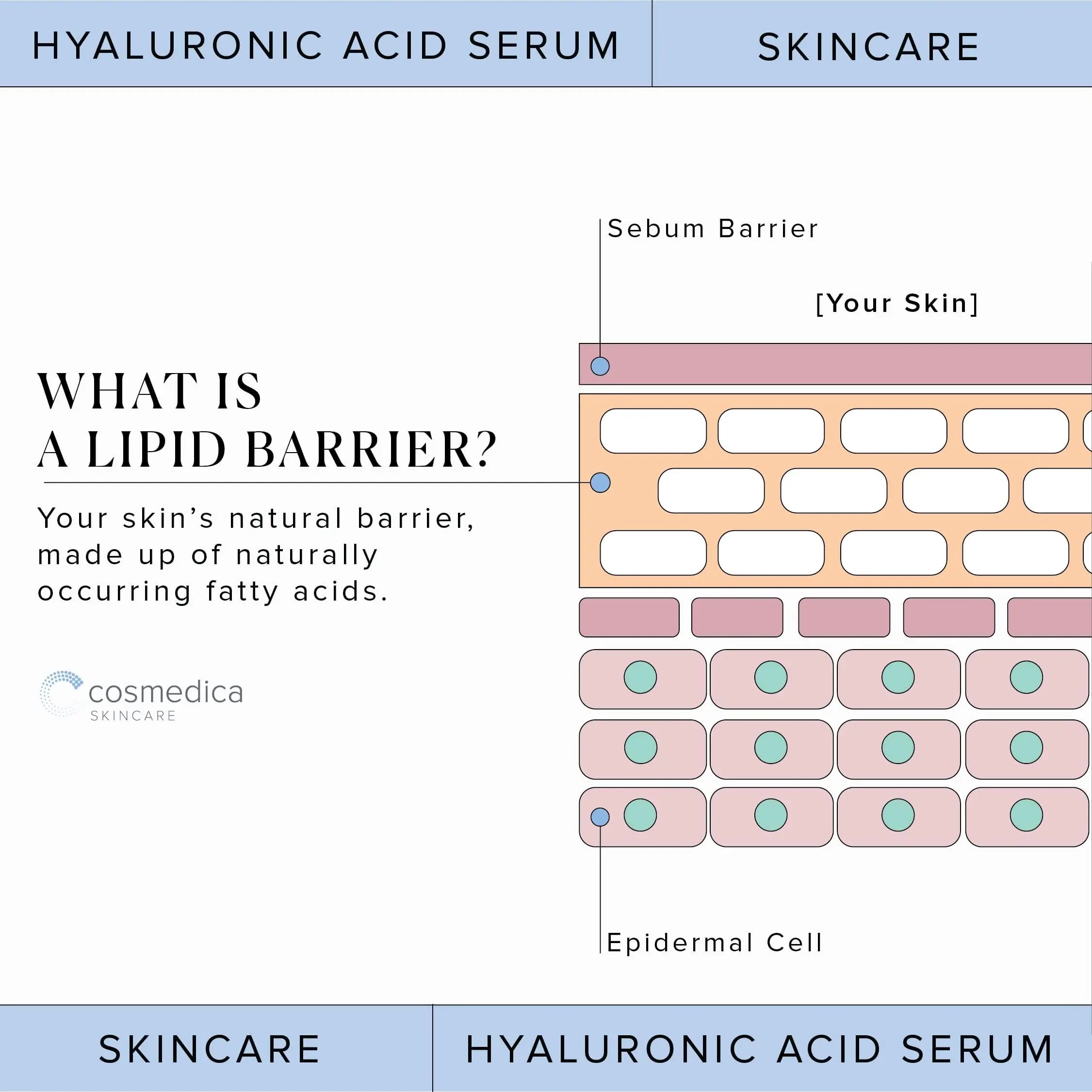 Hyaluronic Acid Serum for Skin 100% Pure Anti Aging Serum Intense Hydration Cosmedica Skincare Au supplements