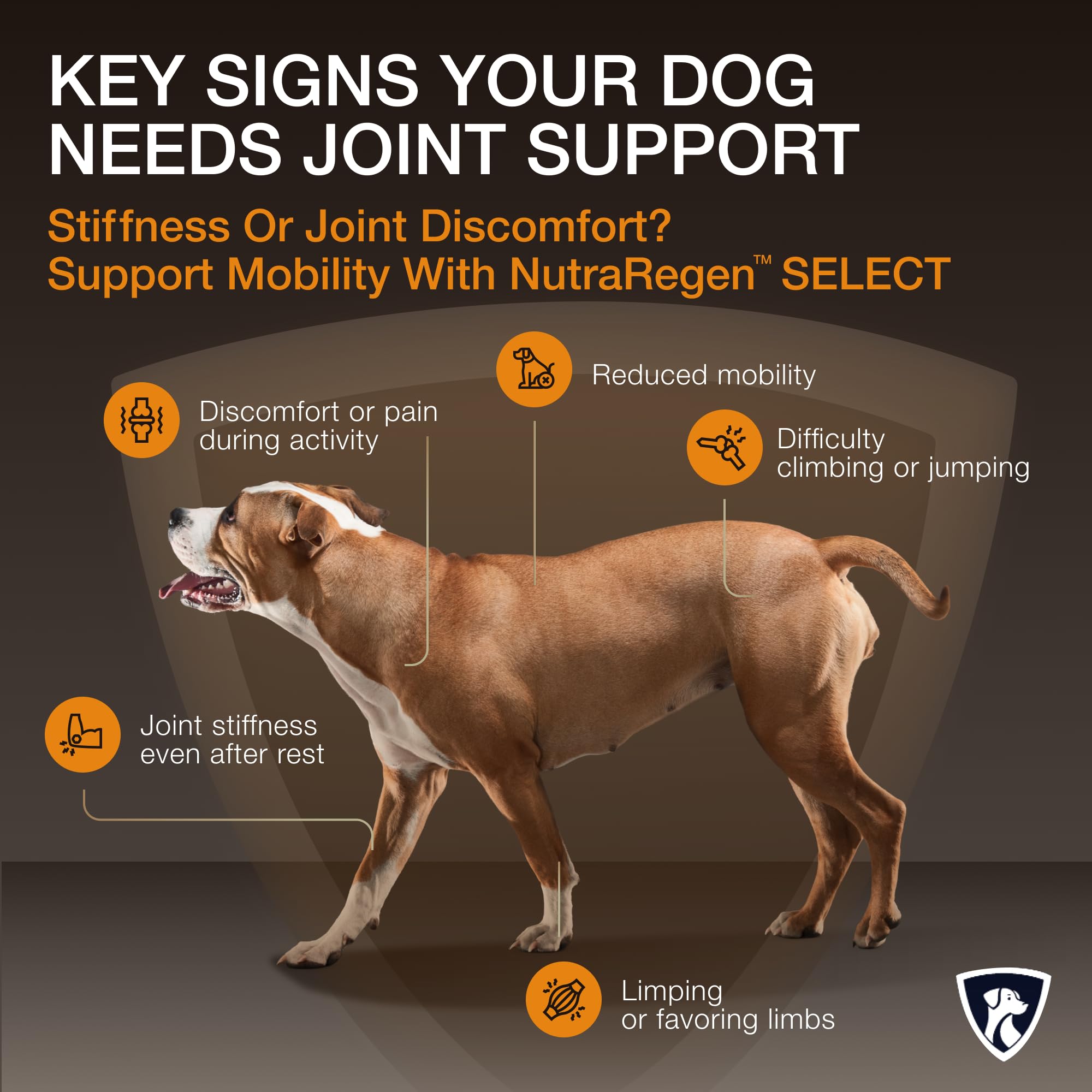 NutraRegen Select Senior Dog Joint Supplement 45 Scoops | Natural Glucosamine Chondroitin for Dogs with Collagen | Hip and Joint Powder | 7.7 Oz NutraRegen Au supplements