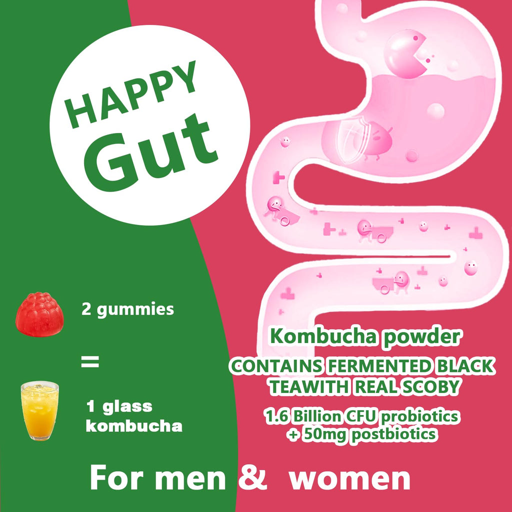 Itiban Probiotic Kombucha Gummy - Prebiotics, Probiotics, Postbiotics, Fiber Supplement, Slippery Elm for Bloating, Gut Health, Women and Men, 60ct Itiban Au supplements