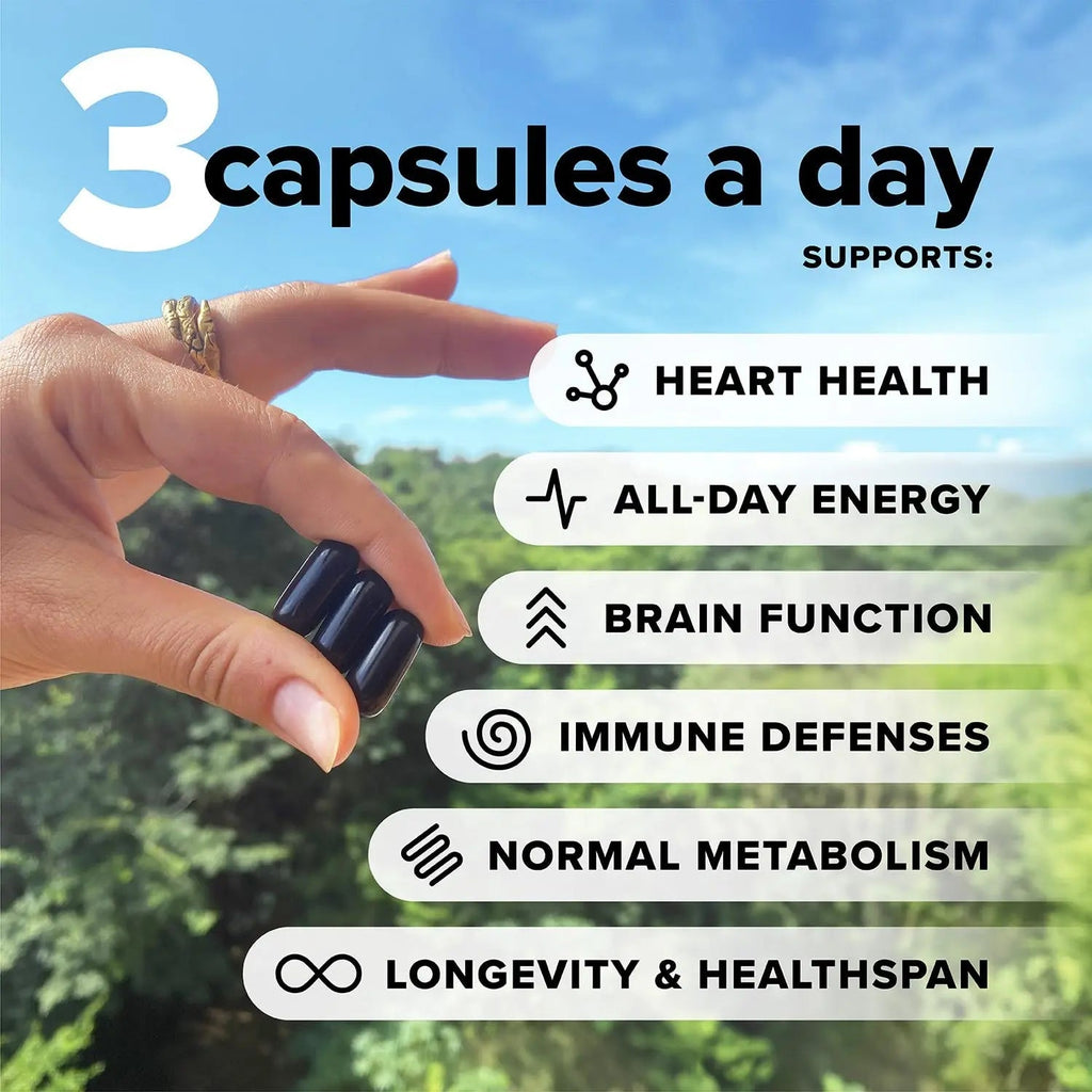 Complement Essential Vegan Multivitamin for Men & Women (60 Servings, 180 Capsules) with Omega-3 DHA & EPA, B12, Vitamin D3 & K2 Complement Au supplements