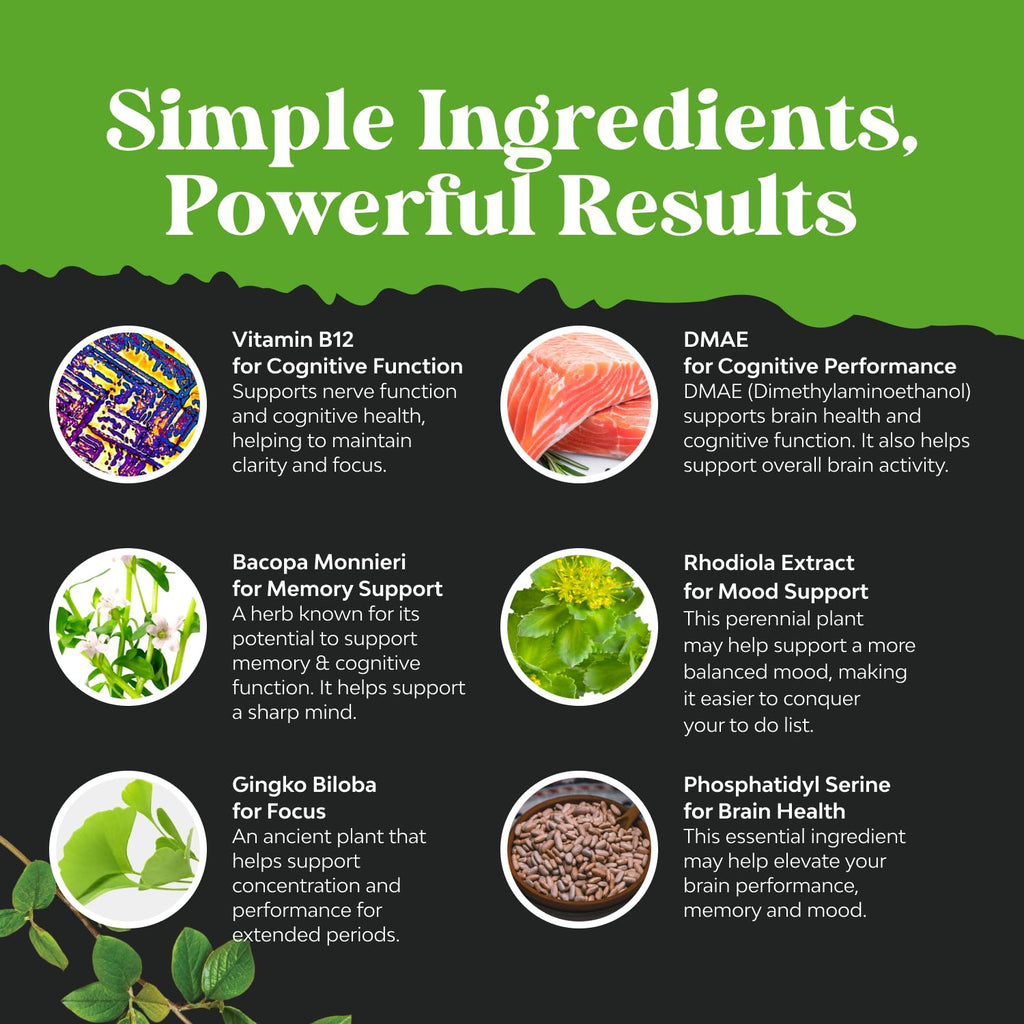 Nootropic Memory Supplement for Brain Support - Memory Pills for Brain Boost and Natural Energy Booster - Vitamin B 12 Bacopa Monnieri Rhodiola Rosea DMAE Ginkgo Biloba Phosphatidylserine Supplement Natures Craft Au supplements
