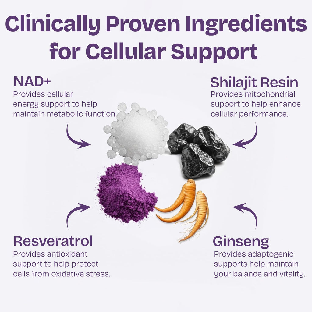 NAD Supplements for Women with Resveratrol, 1000mg Liposomal Nicotinamide Riboside with Quercetin, NMN Supplement Alternative Supports Cellular Energy & Repair, 120 NAD Gummies for Brain Boost Shailee Au supplements