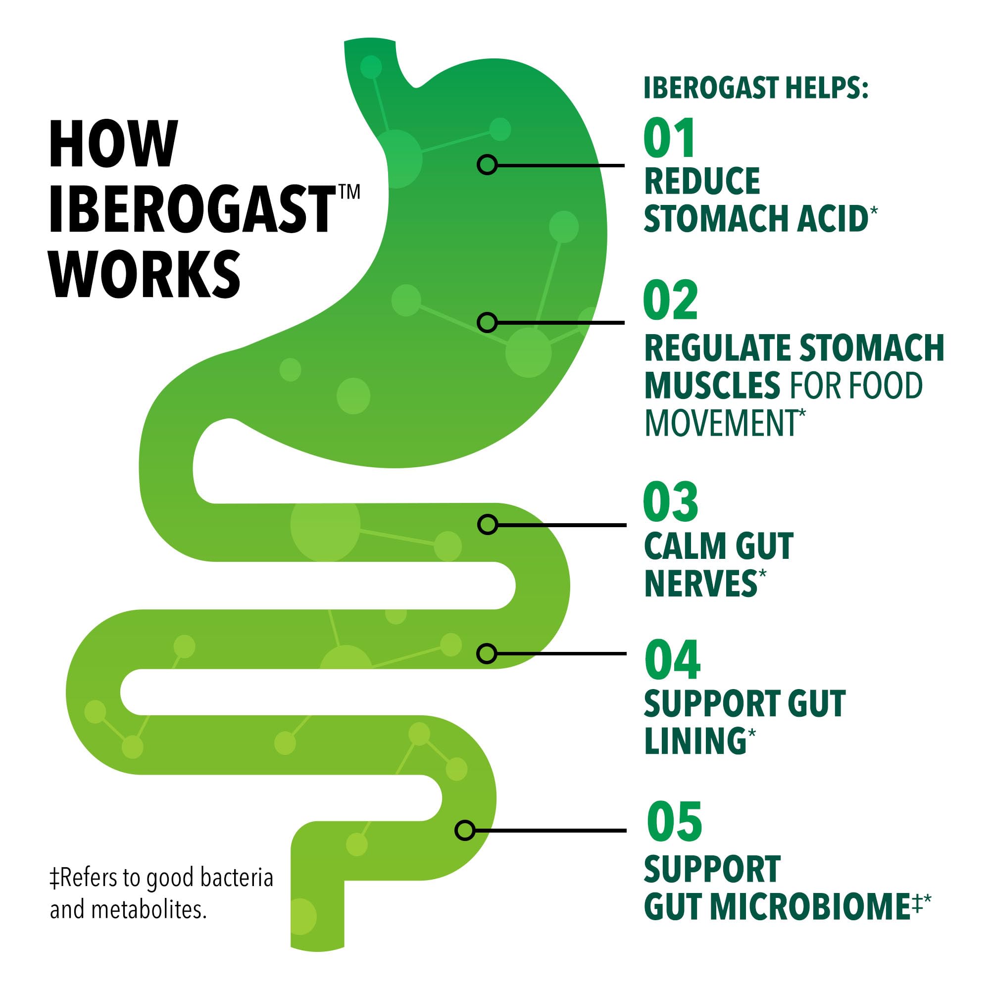 Iberogast Softgels, Herbal Relief of Stomach Upsets: Occasional Indigestion, Bloating, Gas, Nausea, Upset Stomach; 6-Herb Blend with Iberis Amara,
