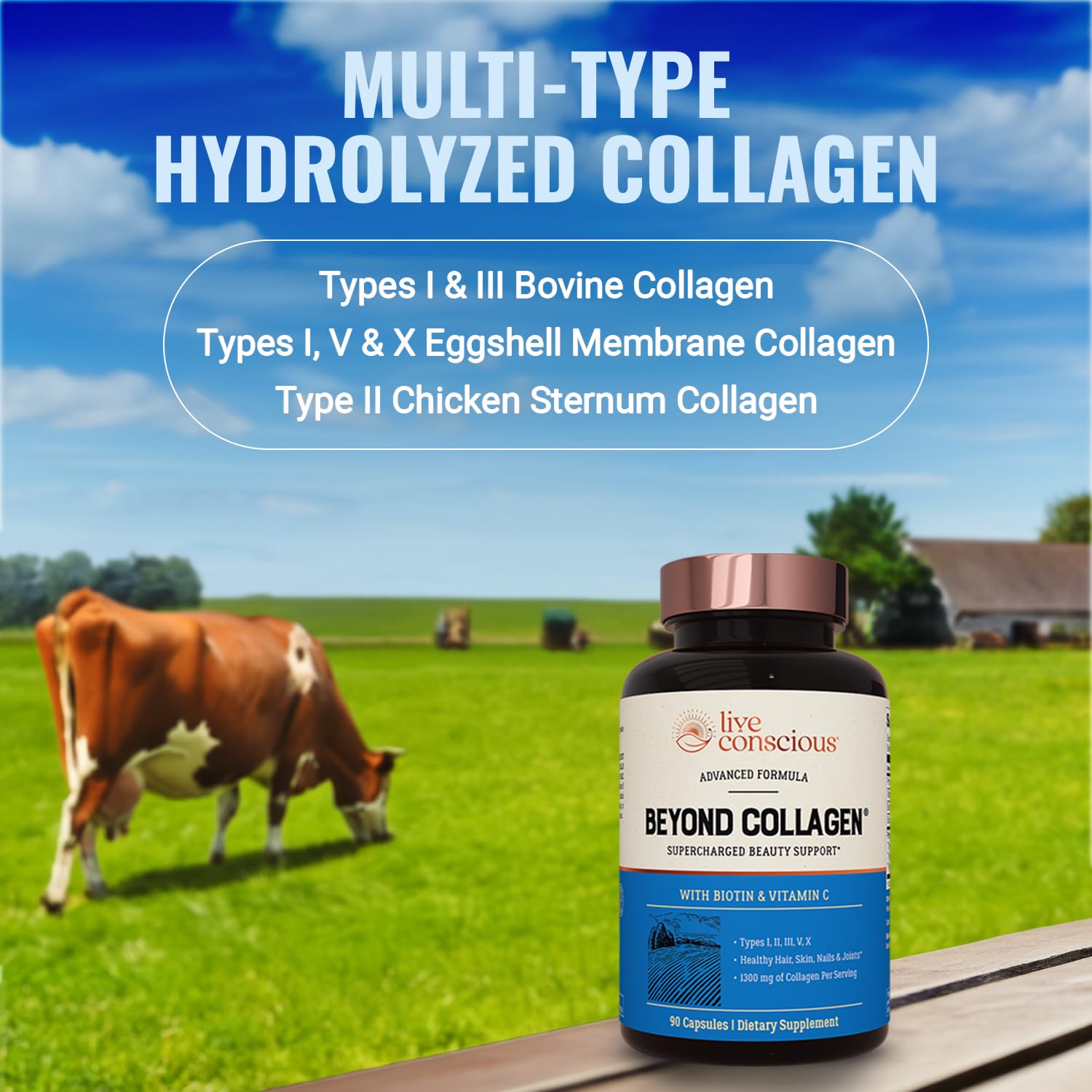 Live Conscious Beyond Collagen Multi Collagen Capsules - Types I, II, III, V & X - Hydrolyzed Blend with Biotin & Vitamin C for Hair, Skin, Nails 90 Capsules Live Conscious Au supplements