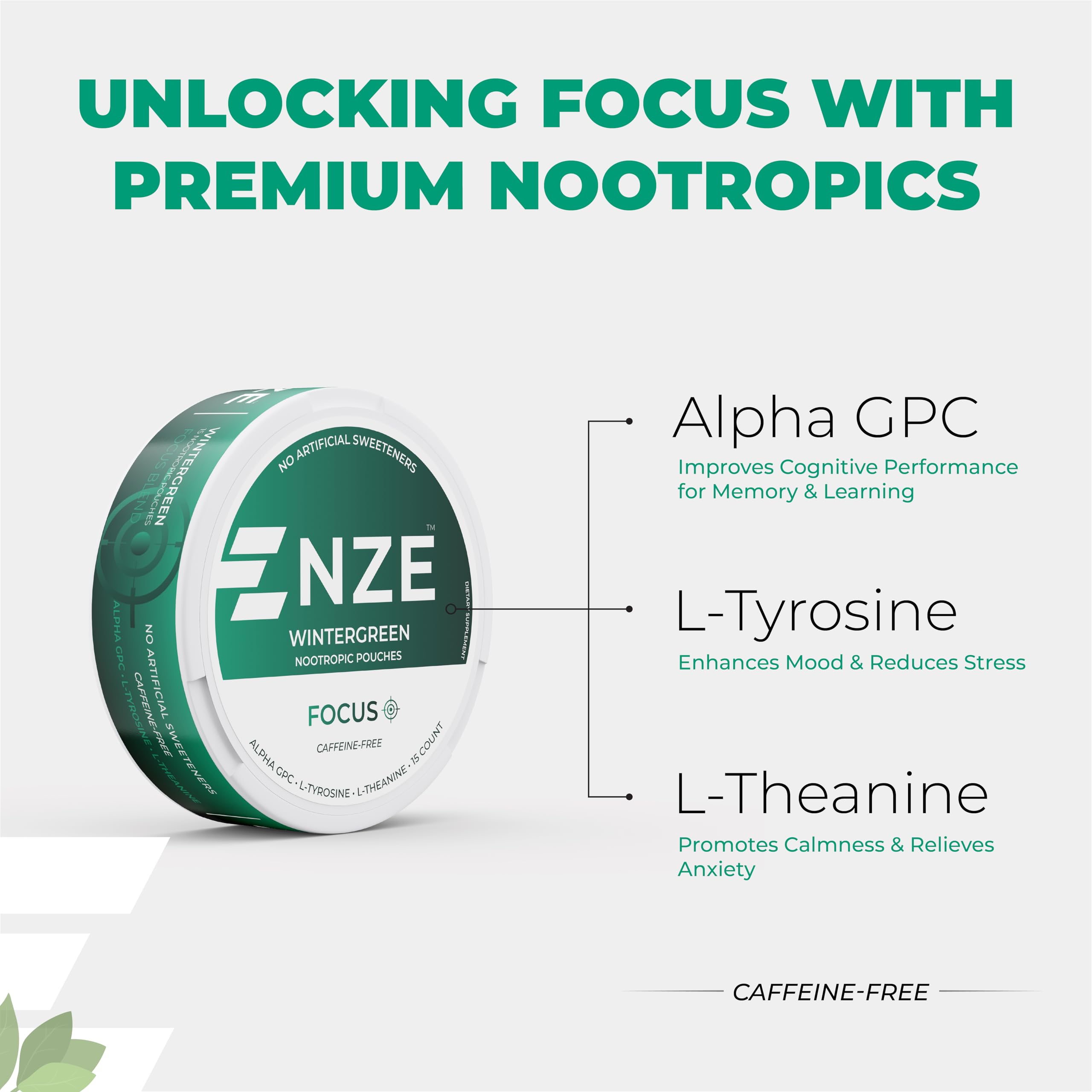 NZE Caffeine Free Nootropic Pouches (Wintergreen) - Nootropic Pouches with Alpha GPC, L-Tyrosine & L-Theanine - No Sugar or Artificial Sweeteners - 15 Pouches Per Can - 5 Pack NZE Au supplements