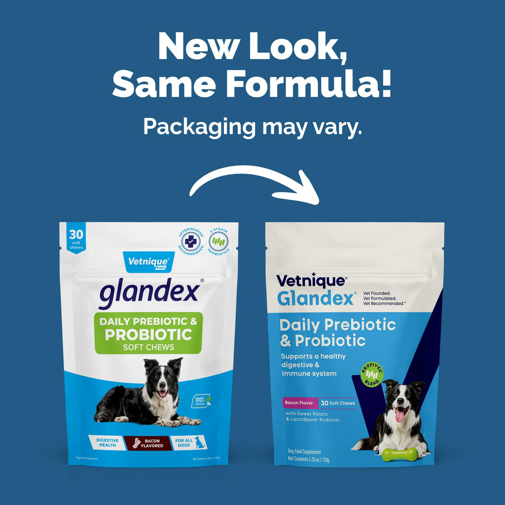 Vetnique Glandex Daily Probiotics for Dogs with Prebiotics to Support Gut Health with Fiber and Digestive Enzymes, Dog Probiotic Chews or Powders (30ct Chews, Bacon Chews) Vetnique Au supplements