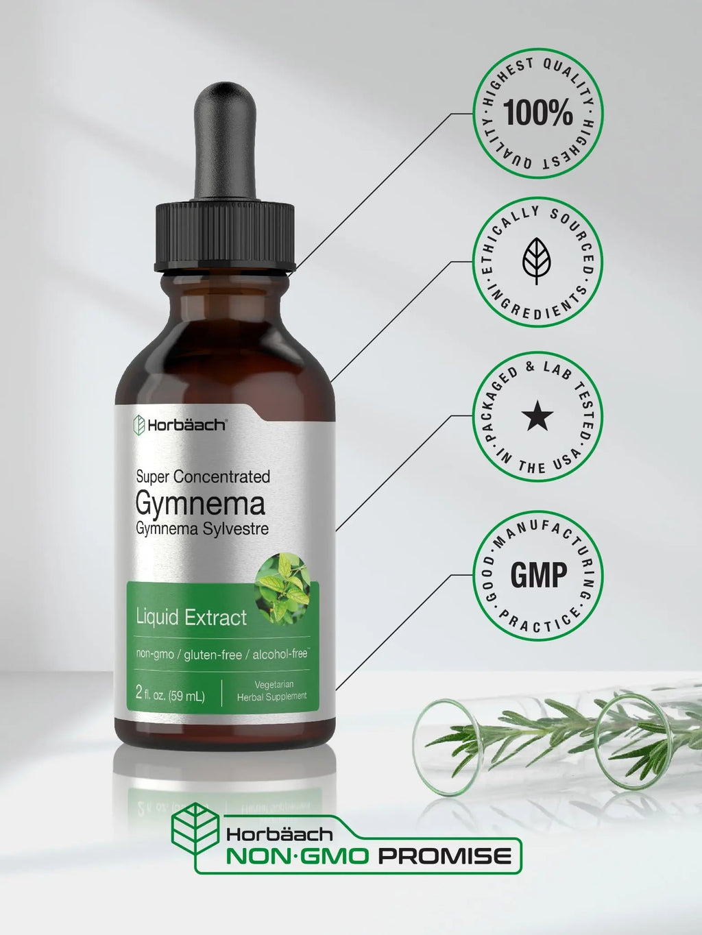Gymnema Sylvestre Liquid | 2 fl oz | Alcohol Free Supplement | Super Concentrated Horbäach Au supplements