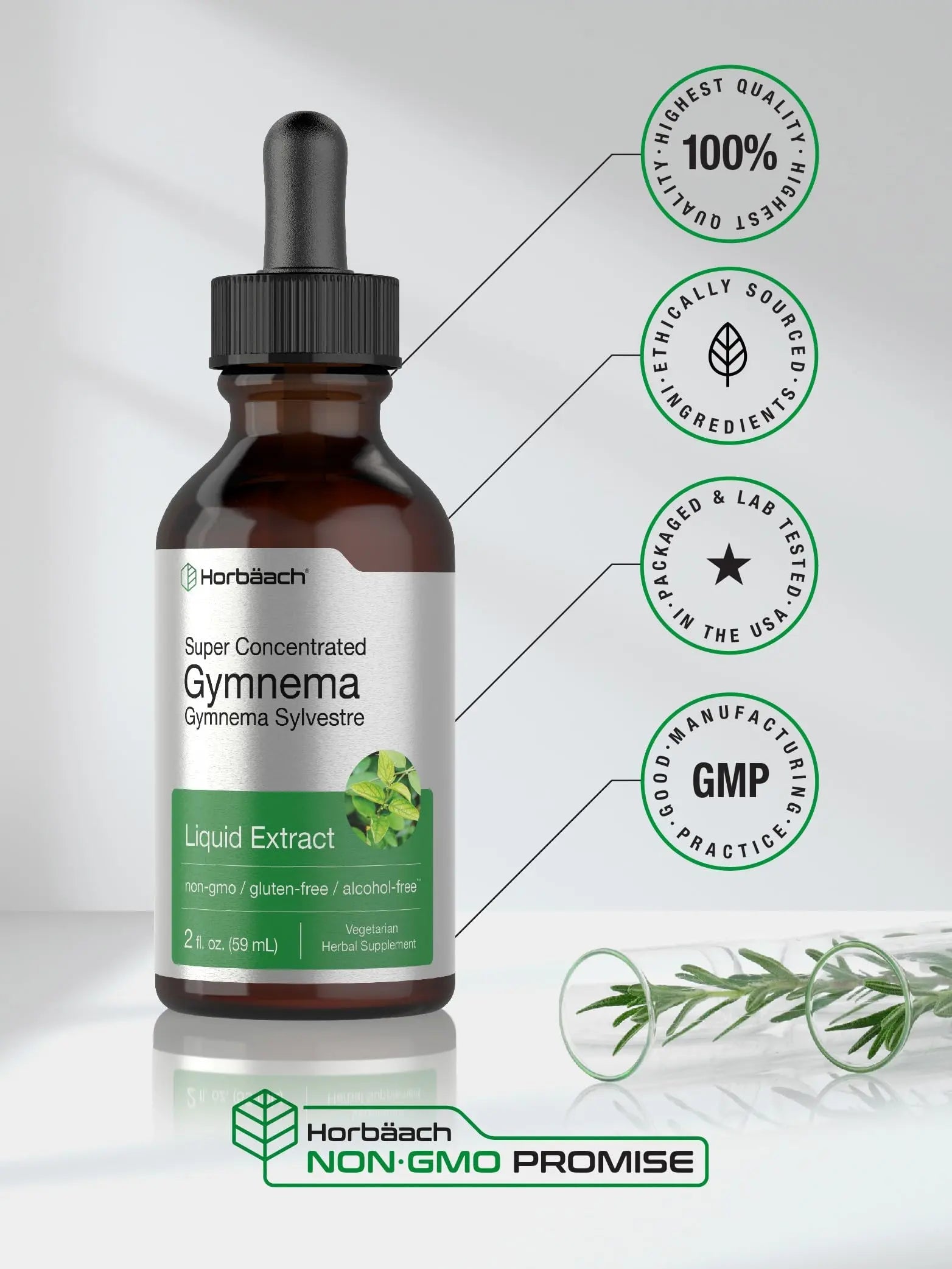 Gymnema Sylvestre Liquid | 2 fl oz | Alcohol Free Supplement | Super Concentrated Horbäach Au supplements