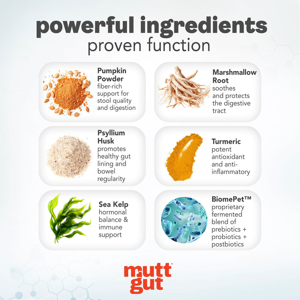 MuttGut® 3-in-1 Puppy & Dog Probiotics + Prebiotics + Postbiotics Chews - Promotes Digestive Health, Supports Immune System and Overall Health - Dog Diarrhea Relief & Immune Support - 60 Soft Chews MUTTGUT Au supplements