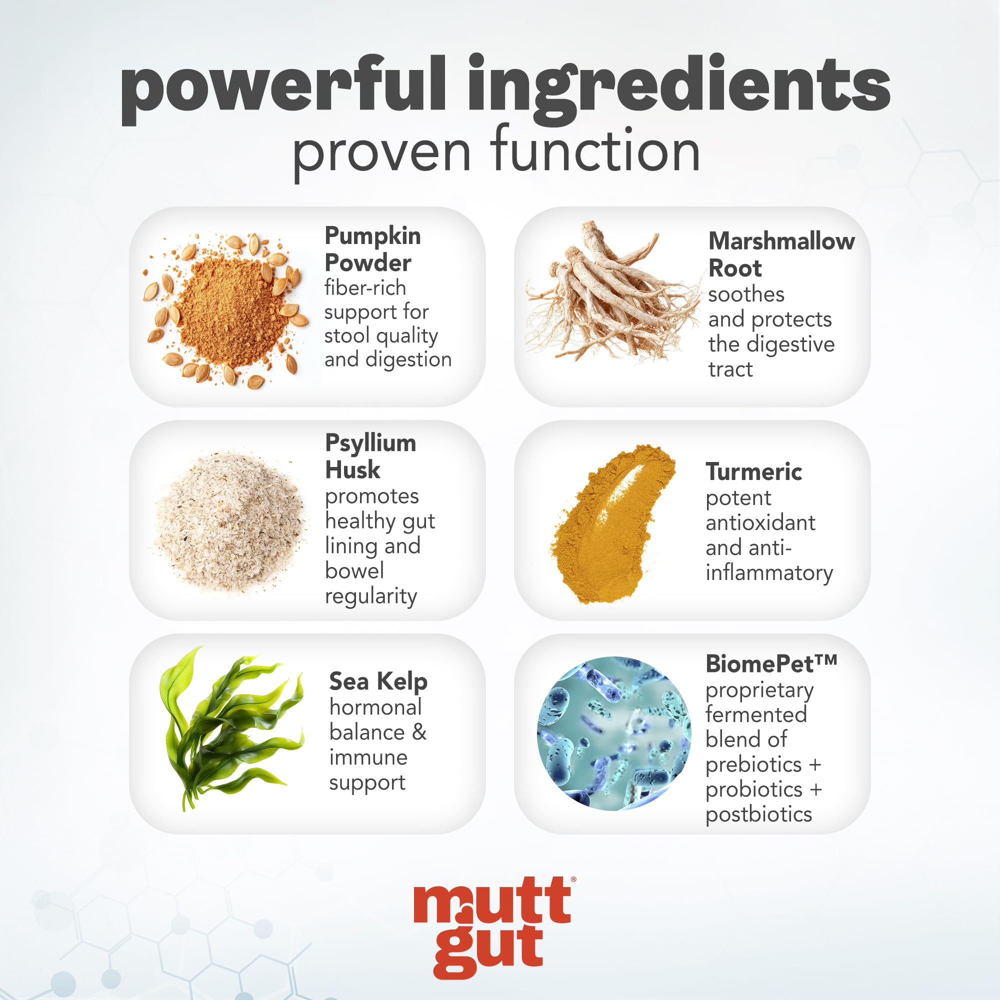 MuttGut® 3-in-1 Puppy & Dog Probiotics + Prebiotics + Postbiotics Chews - Promotes Digestive Health, Supports Immune System and Overall Health - Dog Diarrhea Relief & Immune Support - 60 Soft Chews MUTTGUT Au supplements