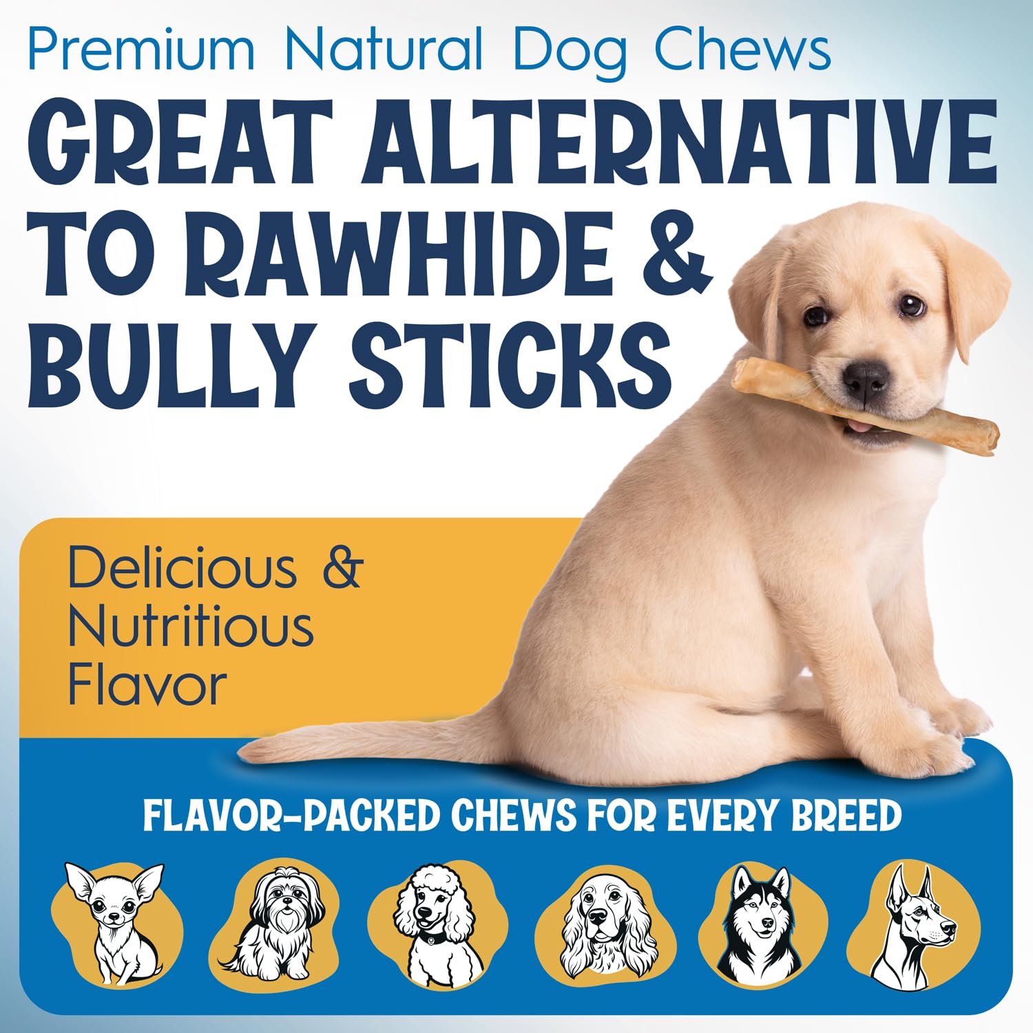 FETCHERONI 12" Collagen Sticks for Dogs – Low Odor Long-Lasting Bully Stick & Rawhide Alternative, Single Ingredient Beef Bone, High Protein Dental Treat, Vet Approved, Improves Joint Health – 5 Pack FETCHERONI Au supplements