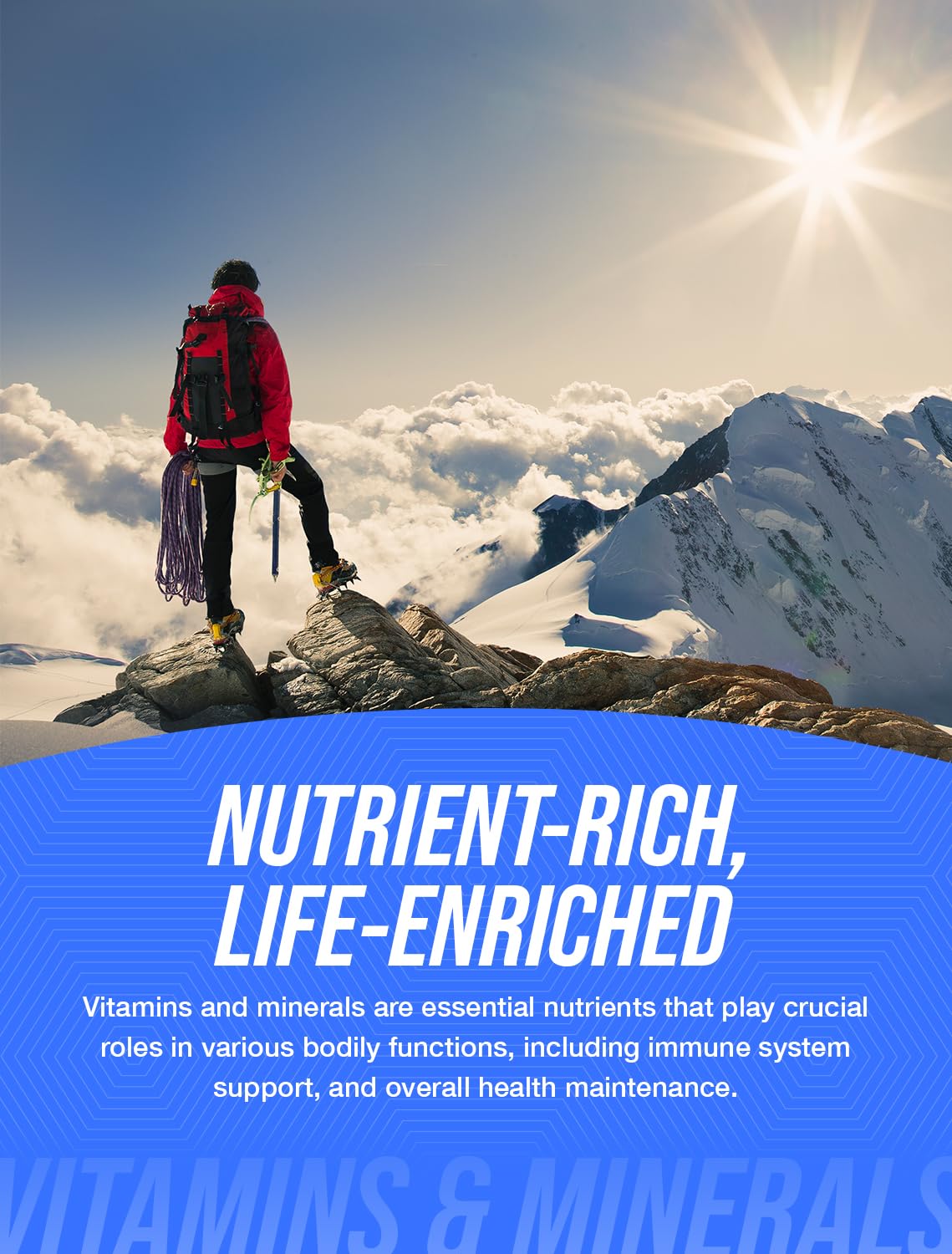 BulkSupplements.com NAD Powder - Nicotinamide Adenine Dinucleotide, NAD Supplement 500mg - for Energy Support, Pure & Gluten Free, 500mg per Serving, 50g (1.8 oz) (Pack of 1) BulkSupplements Au supplements