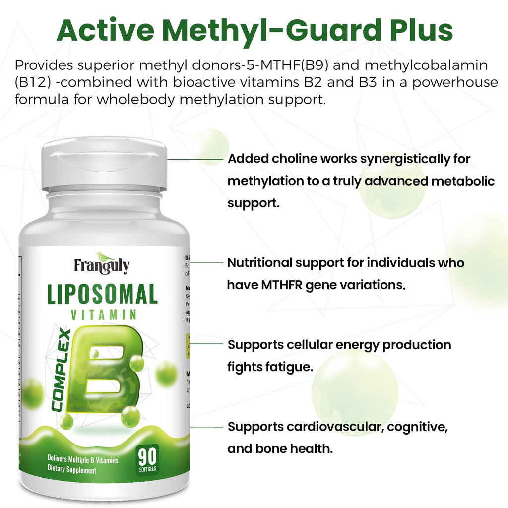 Liposomal B Complex for High Absorption Methylated B12,L-Methyfolate(5-MTHF ),Full Active B Vitamins with Choline Inositol-Energy, Metabolism,Brain & Heart Support