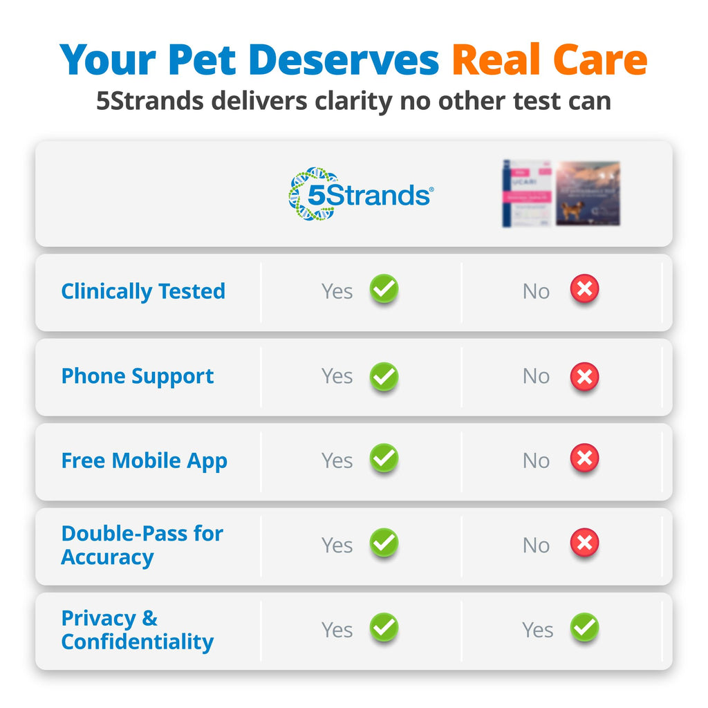5Strands Raw & Fresh Pet Food Intolerance Test, at Home Gut Health Test for Dogs & Cats, 400+ Raw & Gently Cooked Fresh Food Items Tested, Accurate for All Ages & Breeds, Fast 4 Day Results 5Strands Au supplements