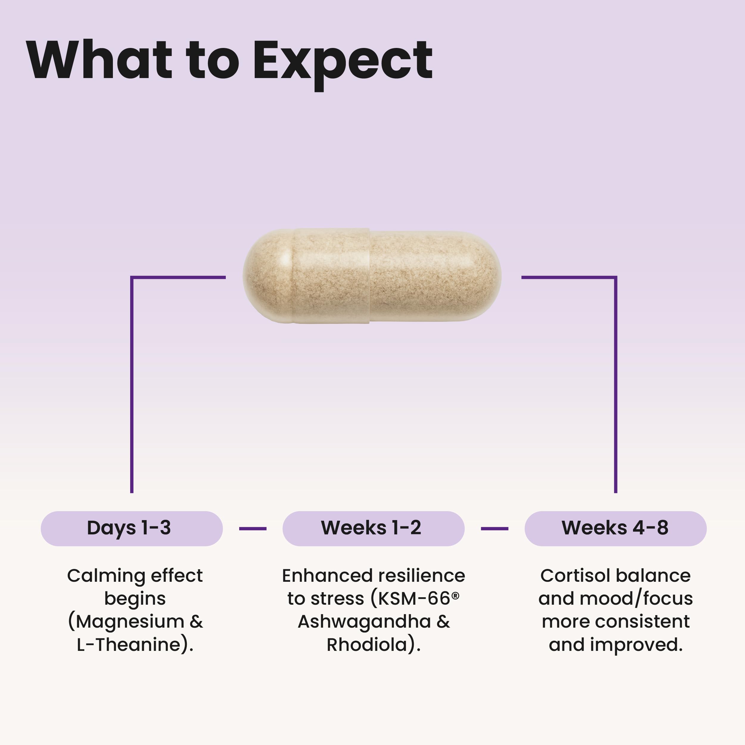 WellPath Soothe Cortisol Manager - Cortisol Supplements for Women with KSM-66® Ashwagandha & L-Theanine - Stress Support, Detox - 11-in-1 Complex, Vegan, Made in USA, Non-GMO, 60 Ct WellPath Au supplements