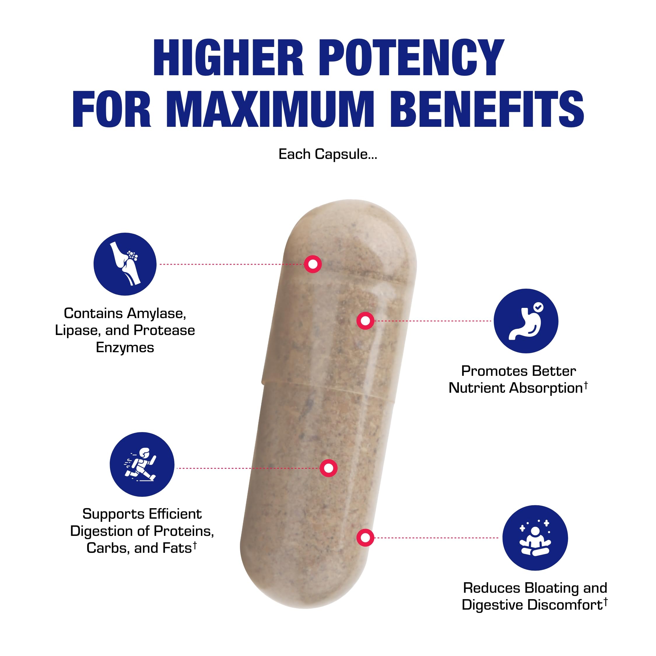 Plant Based Multi Digestive Enzymes Supplement - Clinically Formulated Digestion Supplement with Soothing Herbs and Enzymes for Women and Men