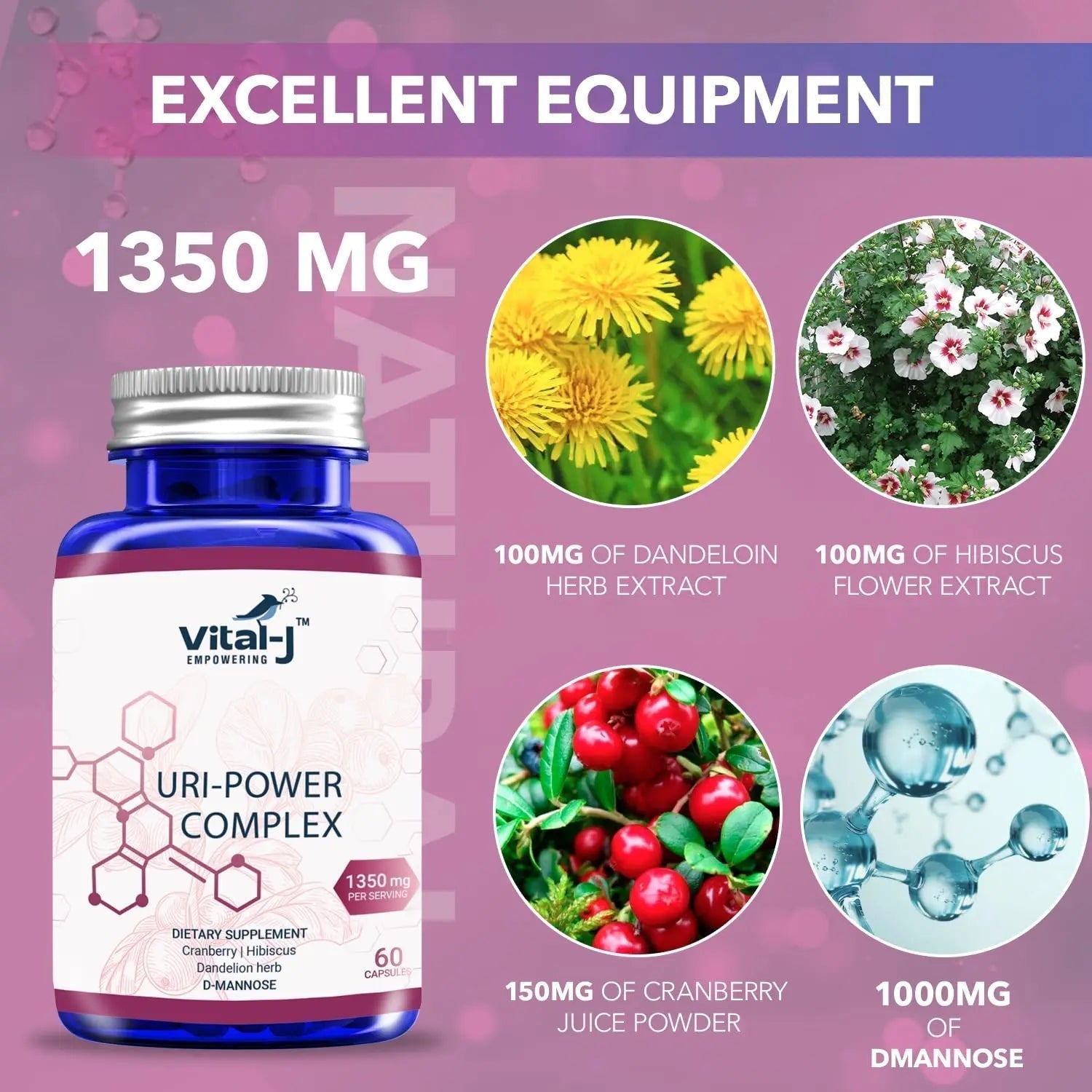 4-IN-1 URI POWER COMPLEX 1350mg - D Mannose, Cranberry, Hibiscus, and Dandelion Herb - Naturally Cleanse the Bladder and Urinary Tract 60 capsules – Specialized Approach for UTI Avoidance Vital-J Empowering Au supplements